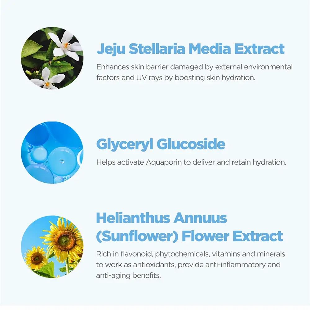 Tre cerchi con testo e immagini: Estratto di Jeju Stellaria Media, Glucoside di Glicerile, Estratto di fiore di Helianthus Annuus (Girasole). Informazioni.