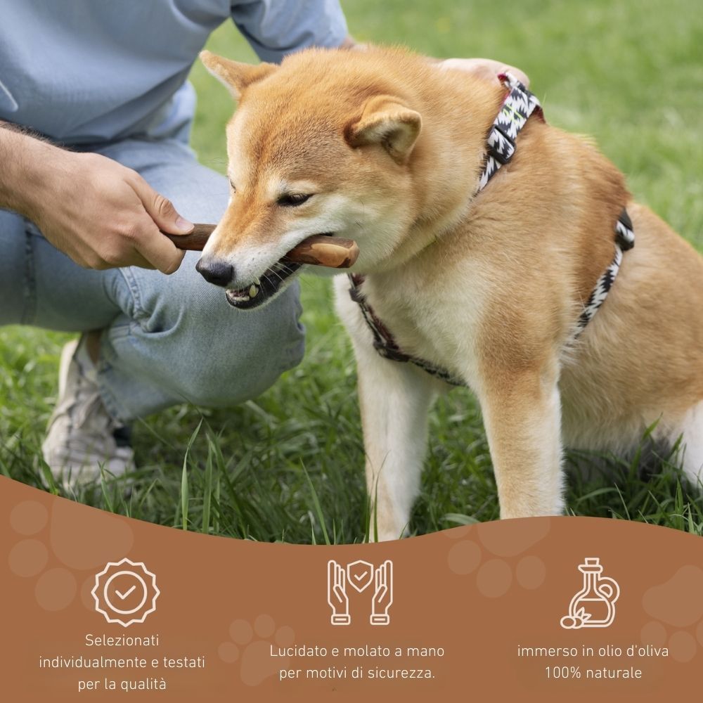 Cane che riceve uno snack da masticare. Marchio: WILDFANG. Testo: Selezionato e testato individualmente, lucidato a mano, immerso in olio d'oliva.