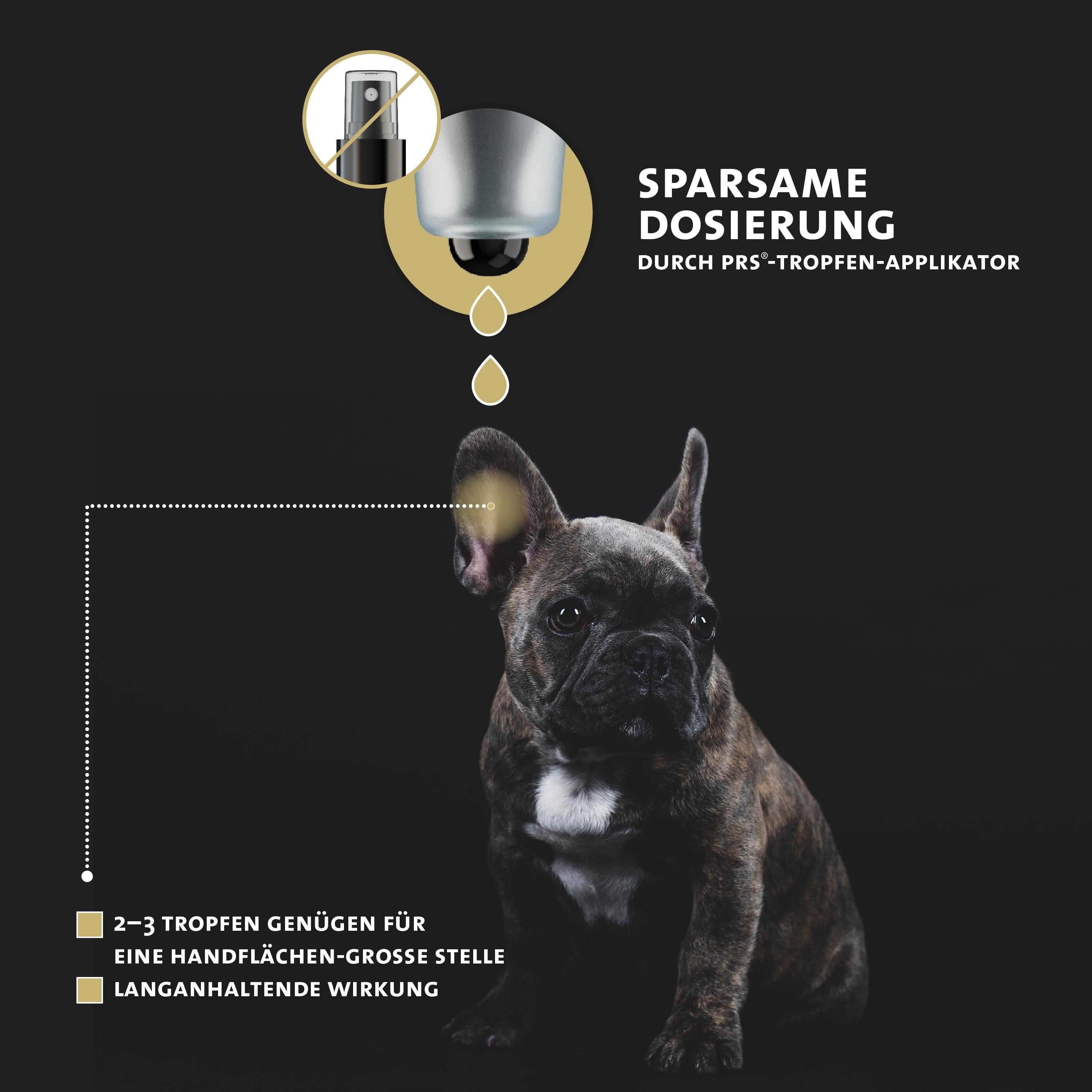 Illustrazione: applicatore PRS che eroga gocce, Bulldog francese, dosaggio economico.