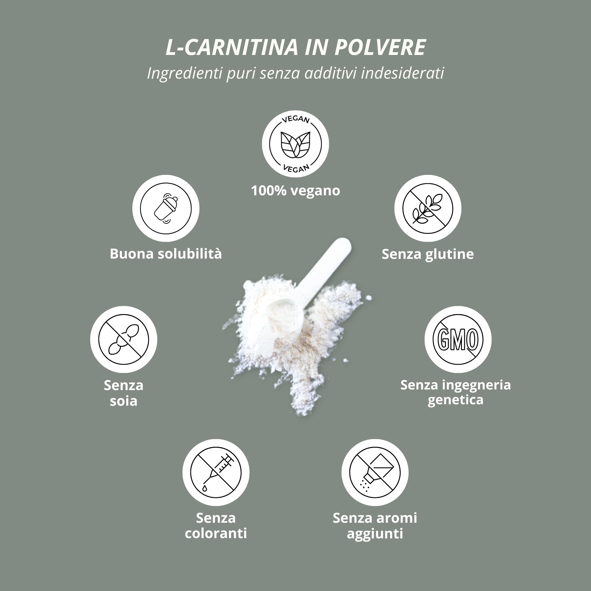 Polvere di L-Carnitina: 100% vegan, buona solubilità, senza glutine, senza soia, senza OGM, coloranti, aromi.