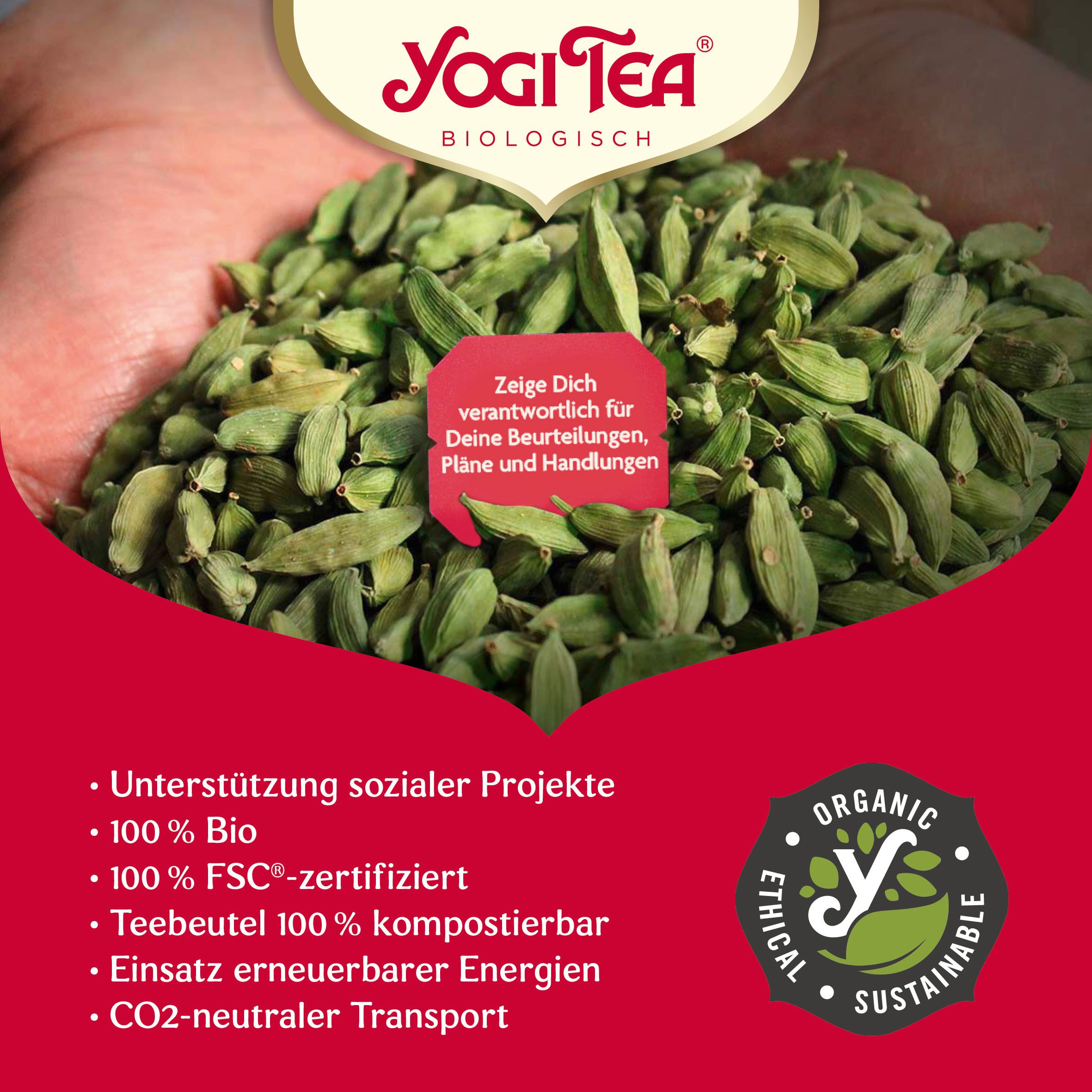 Mani che tengono baccelli di cardamomo verdi. Logo. Testo: 100% Bio, bustine di tè 100% compostabili, sostegno a progetti sociali.