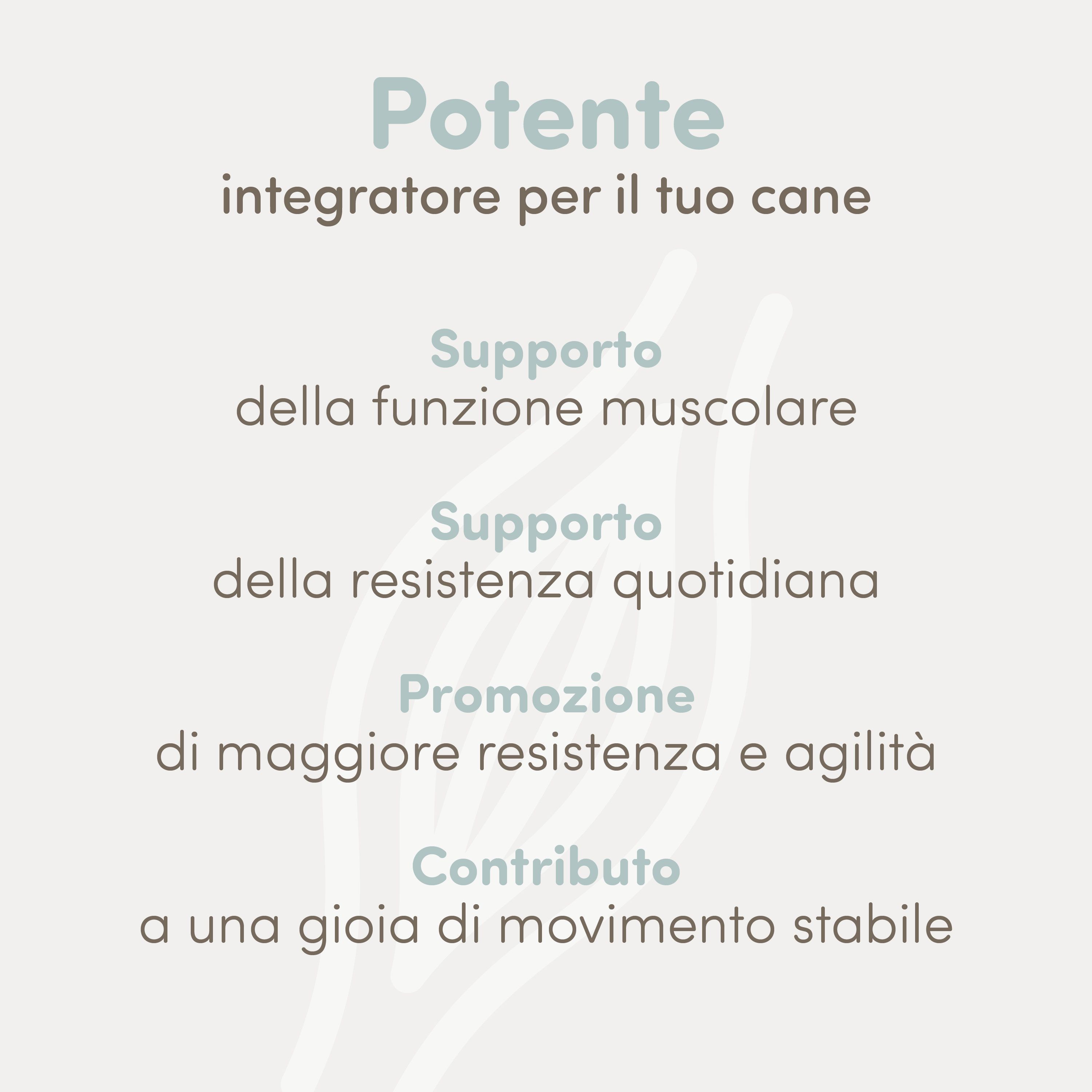 Testo: Potente integratore per il tuo cane. Supporto della funzione muscolare.