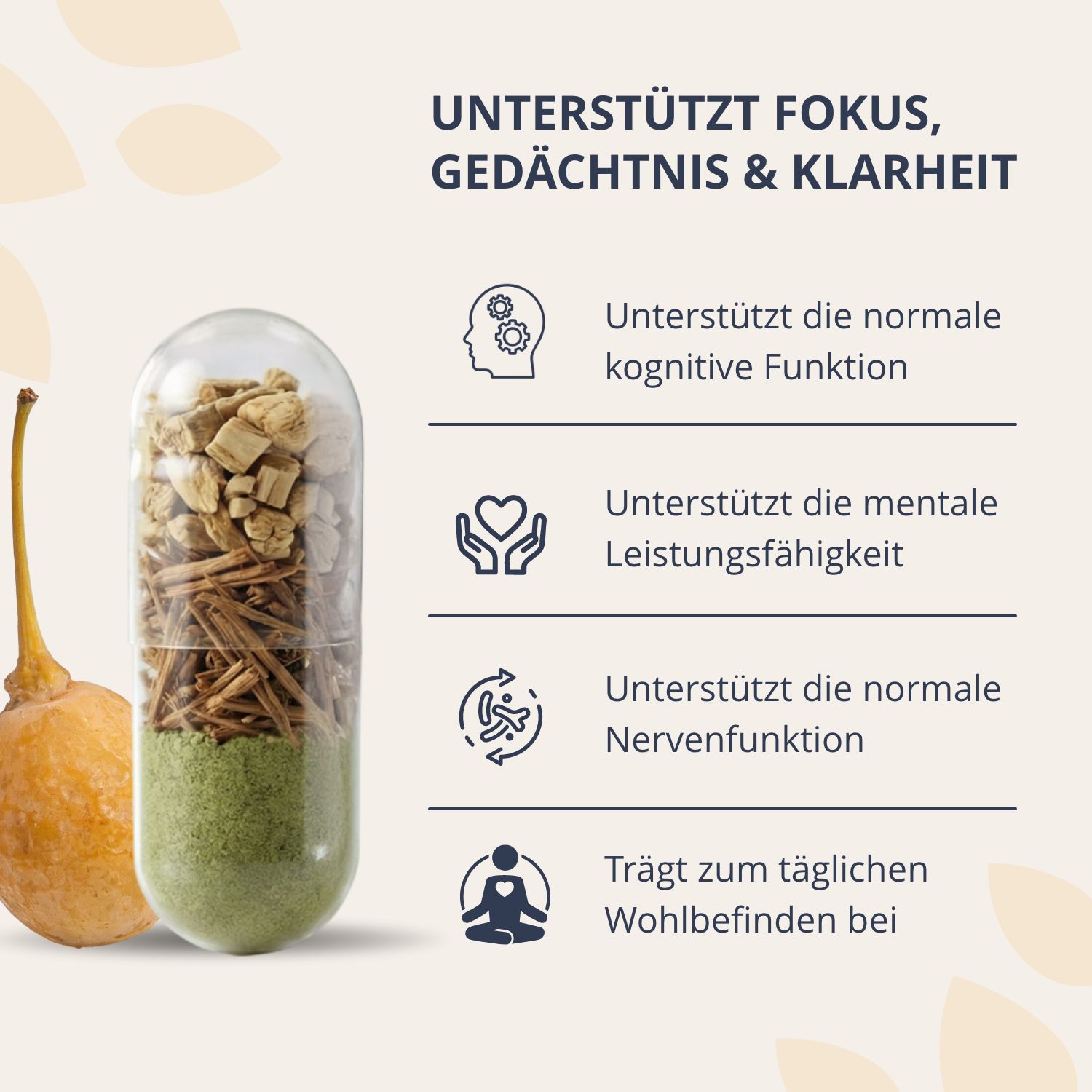 Capsula aperta con ingredienti naturali. Supporta concentrazione, memoria e chiarezza.