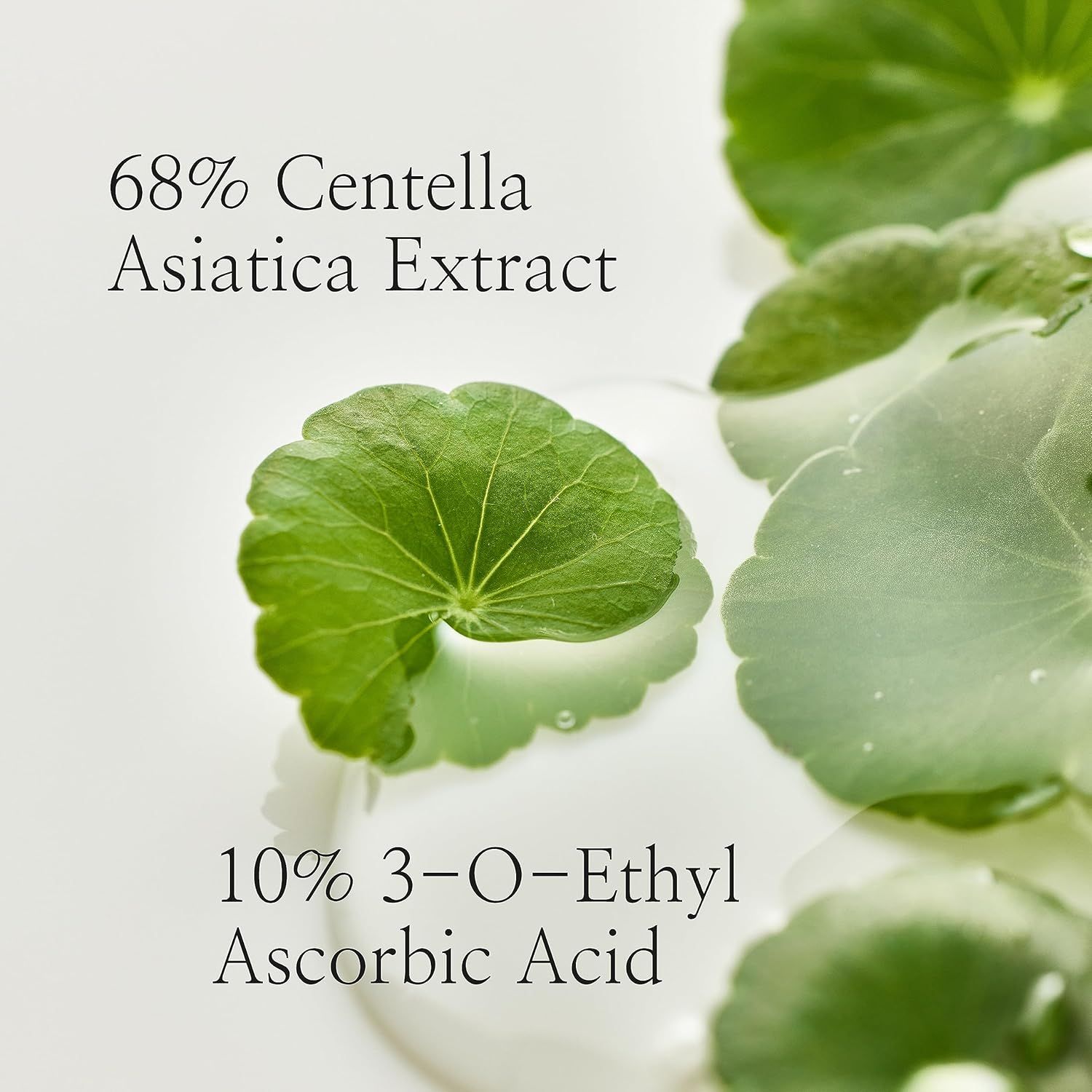 BEAUTY OF JOSEON Light On Siero Centella + Vita C
