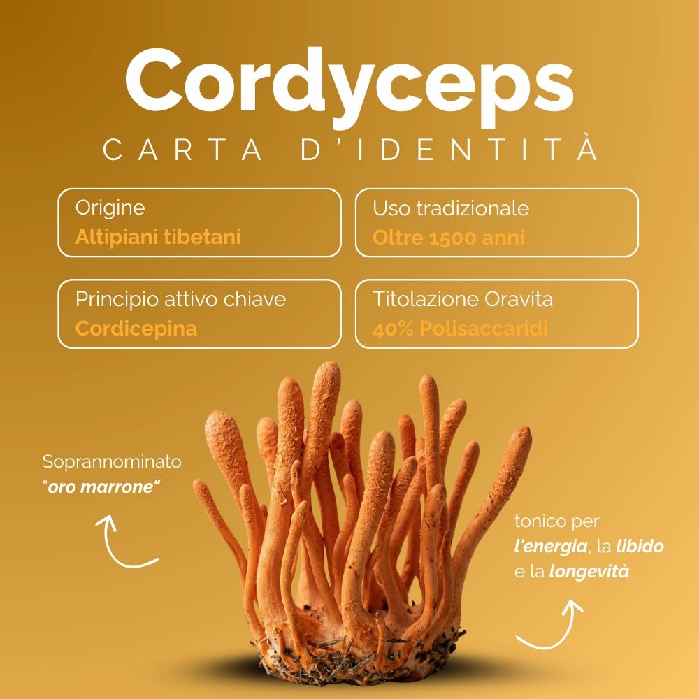 Oravita CORDYCEPS Estratto Micelio Titolato 40% Energia, Immunità e Vitalità