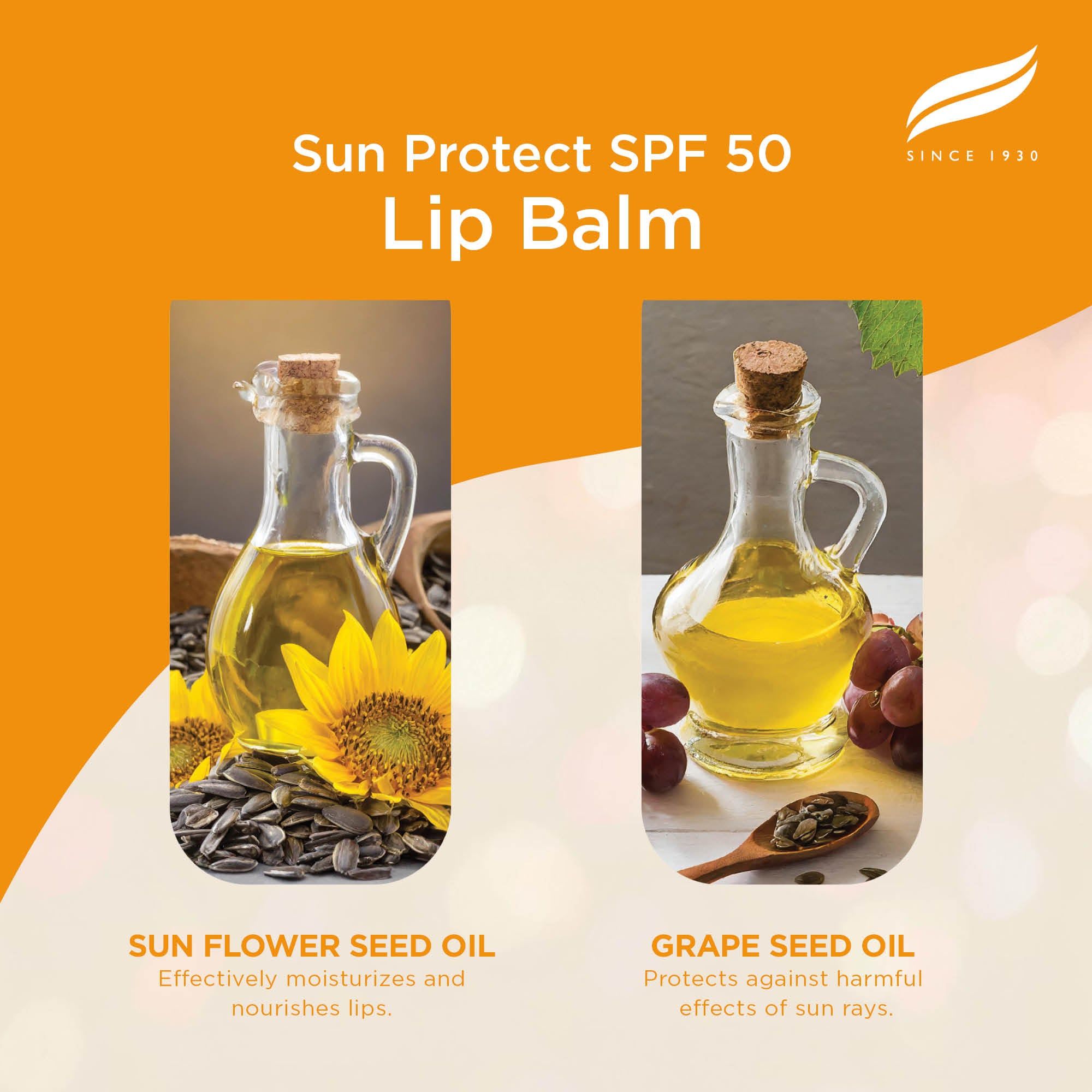 Olio di semi di girasole e olio di semi d'uva in bottiglie, parte del balsamo labbra Himalaya Sun Protect.
