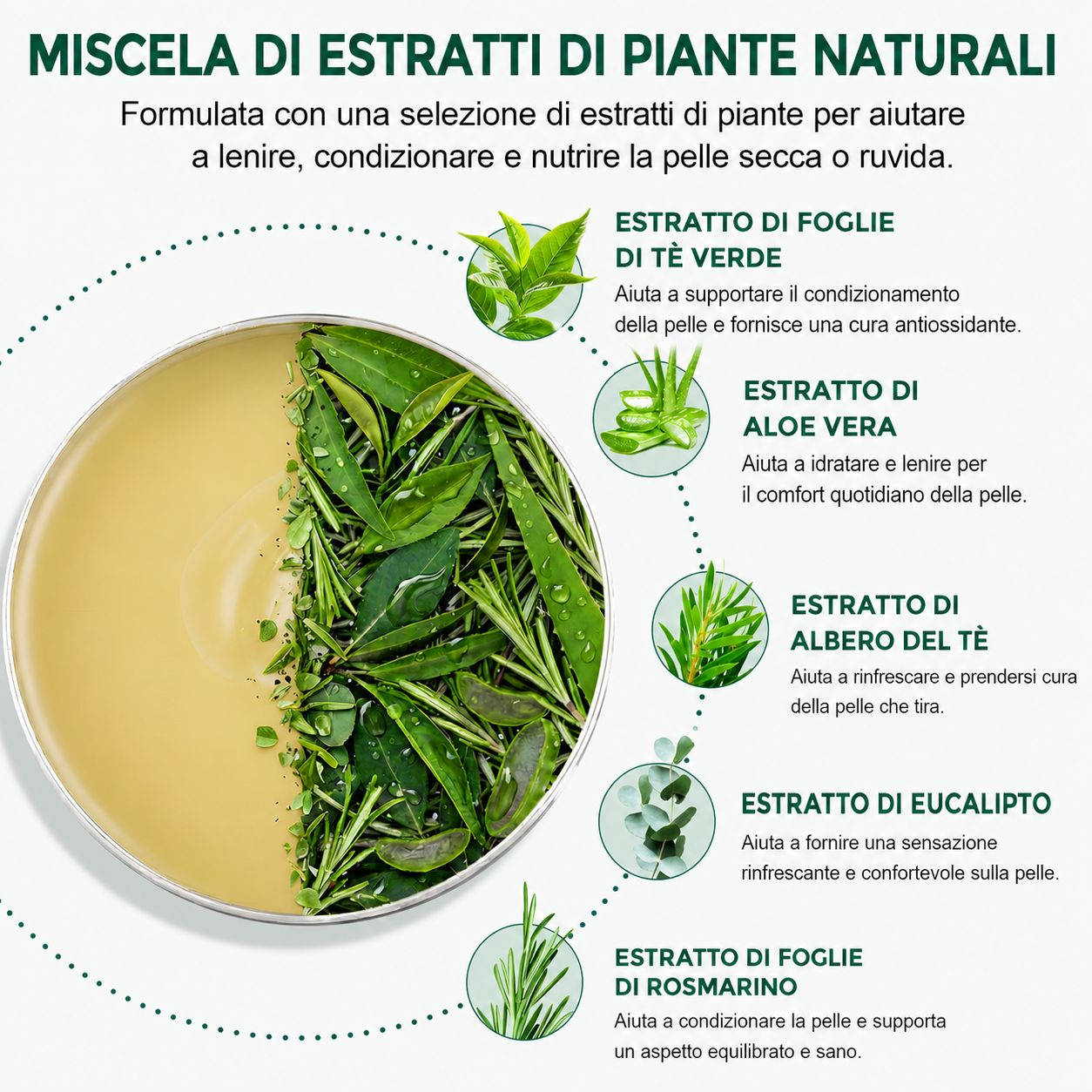 Grafico a torta con ingredienti: tè verde, aloe vera, albero del tè, eucalipto, rosmarino. Testo: Miscela di estratti vegetali naturali.