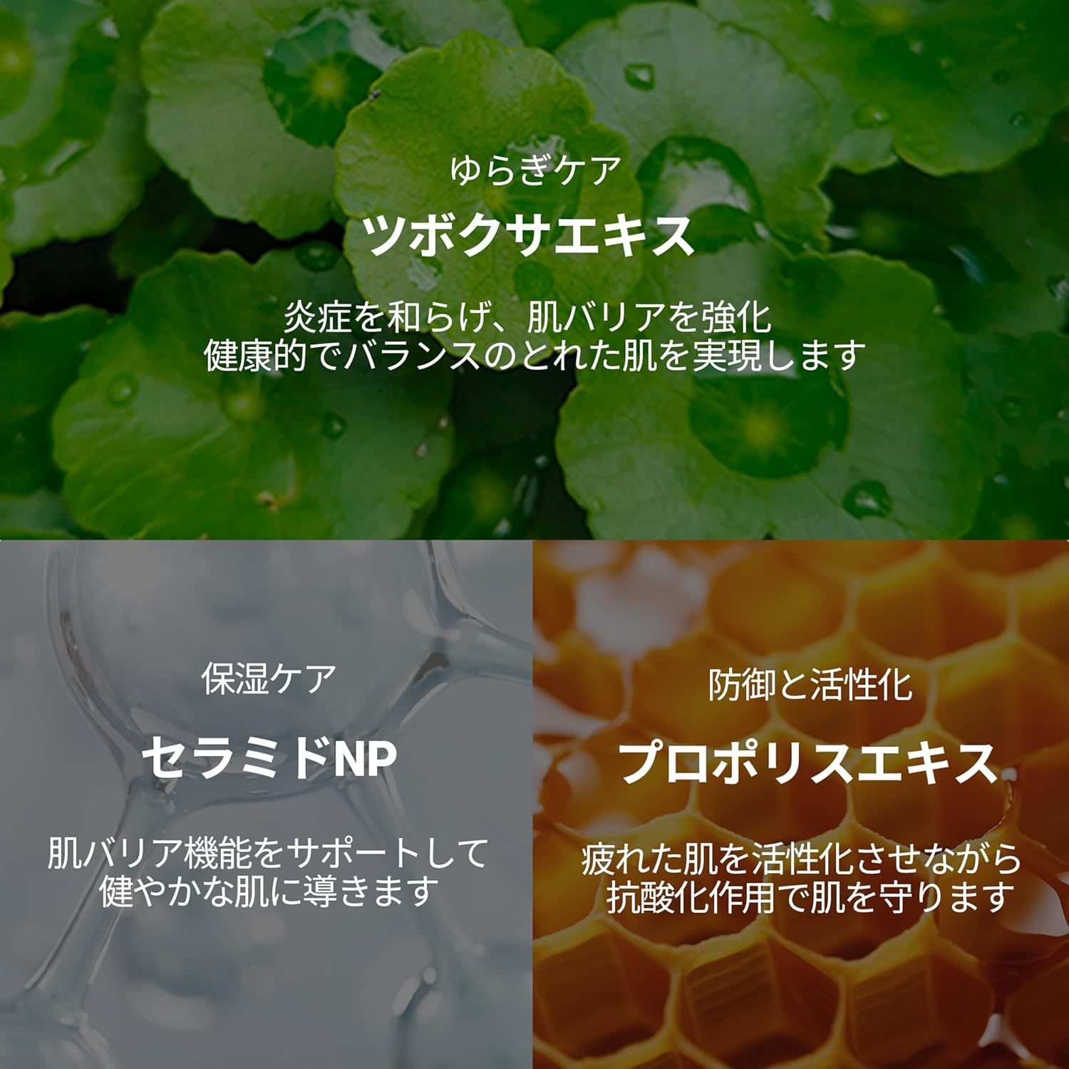 Grafico con ingredienti. Testo: Centella Asiatica, Ceramidi NP, Estratto di propoli. Sfondo: foglie verdi, favi.