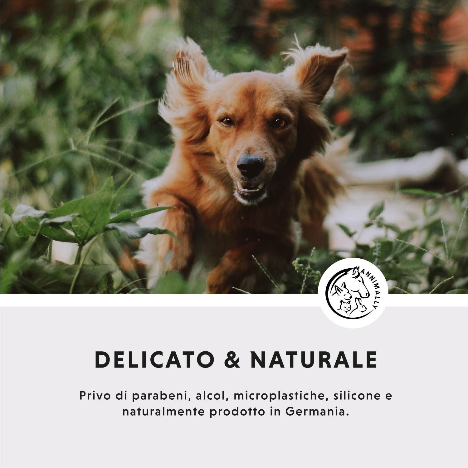 Cane che corre nell'erba verde. Testo: DELICATO & NATURALE. Senza parabeni, alcol, microplastiche, siliconi e prodotto naturalmente in Germania.