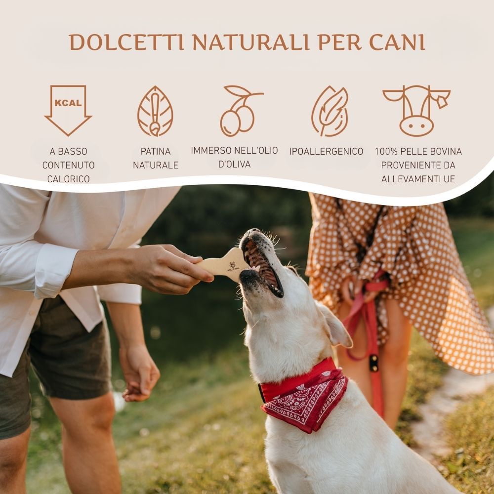 Cane che mastica un osso di pelle. Persona che tiene l'osso. Sfondo: natura, erba. Testo: Dolcetti naturali per cani.