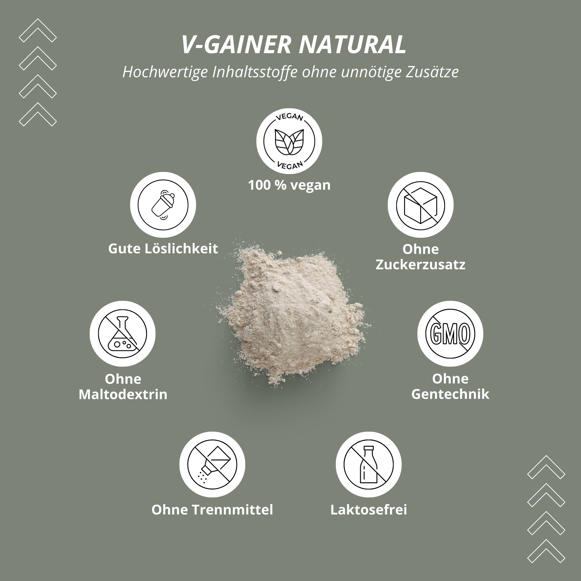 Disposizione circolare di icone e testo. "V-GAINER NATURAL". 100% vegano, senza zuccheri aggiunti, senza OGM, senza antiagglomeranti, senza lattosio.