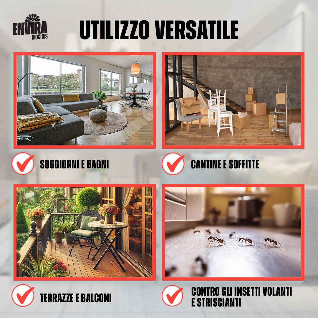 Quattro immagini mostrano usi: soggiorno/bagno, cantina/soffitta, terrazzo/balcone, formiche sul pavimento.