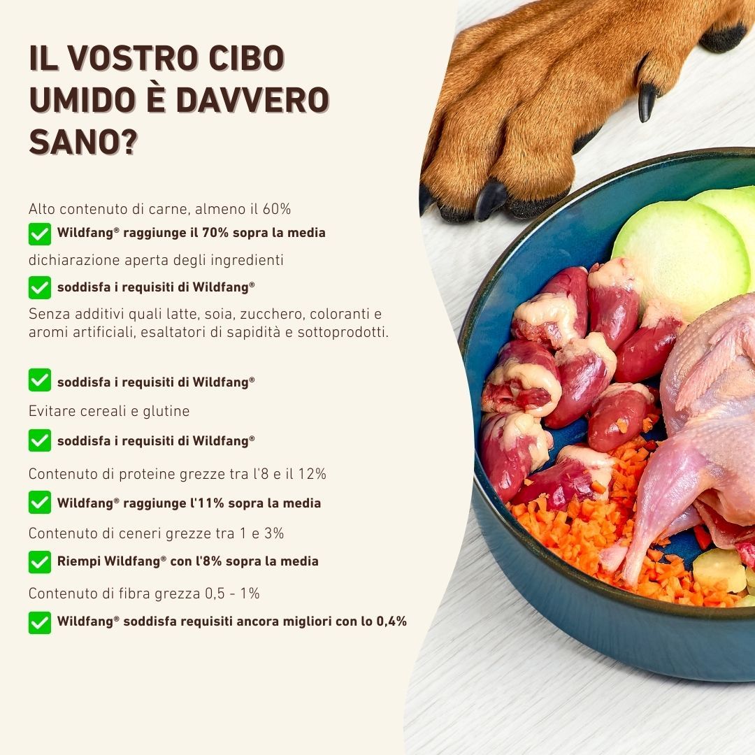 Testo con vantaggi: Alto contenuto di carne, senza additivi, senza cereali e glutine. Una ciotola con ingredienti.