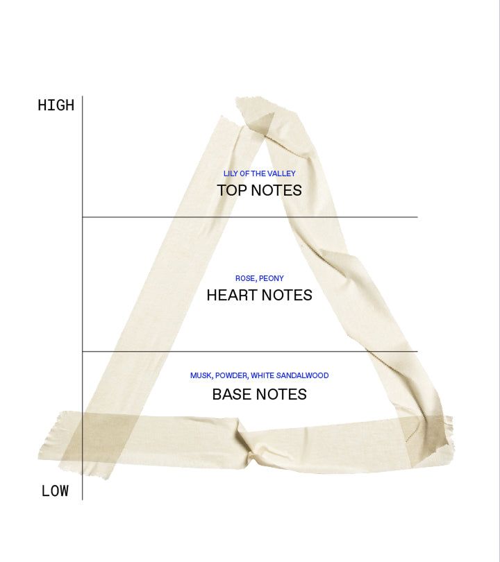 Triangolo con testo. Note di testa, di cuore, di fondo. Note: Mughetto, Rosa, Muschio, etc.