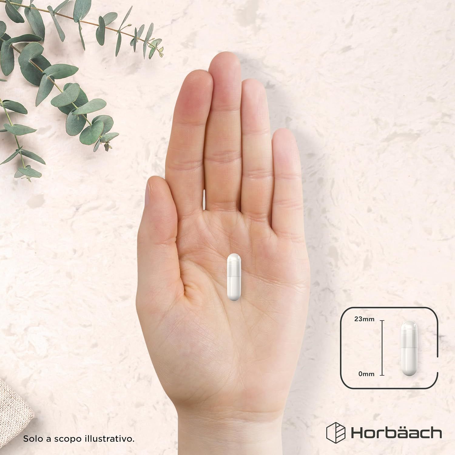 Capsula in mano. Dimensioni: 23mm x 0mm. Logo Horbaach.
