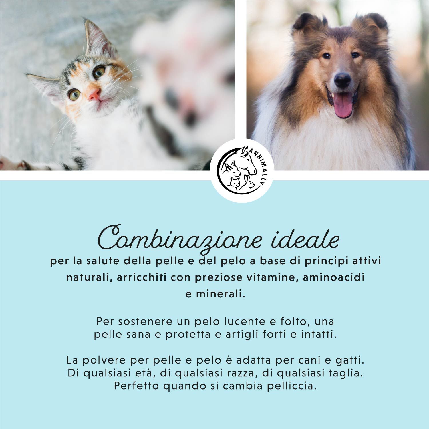 Testo su sfondo blu. Logo. Immagini di gatto e cane. Testo: Combinazione ideale, ingredienti.
