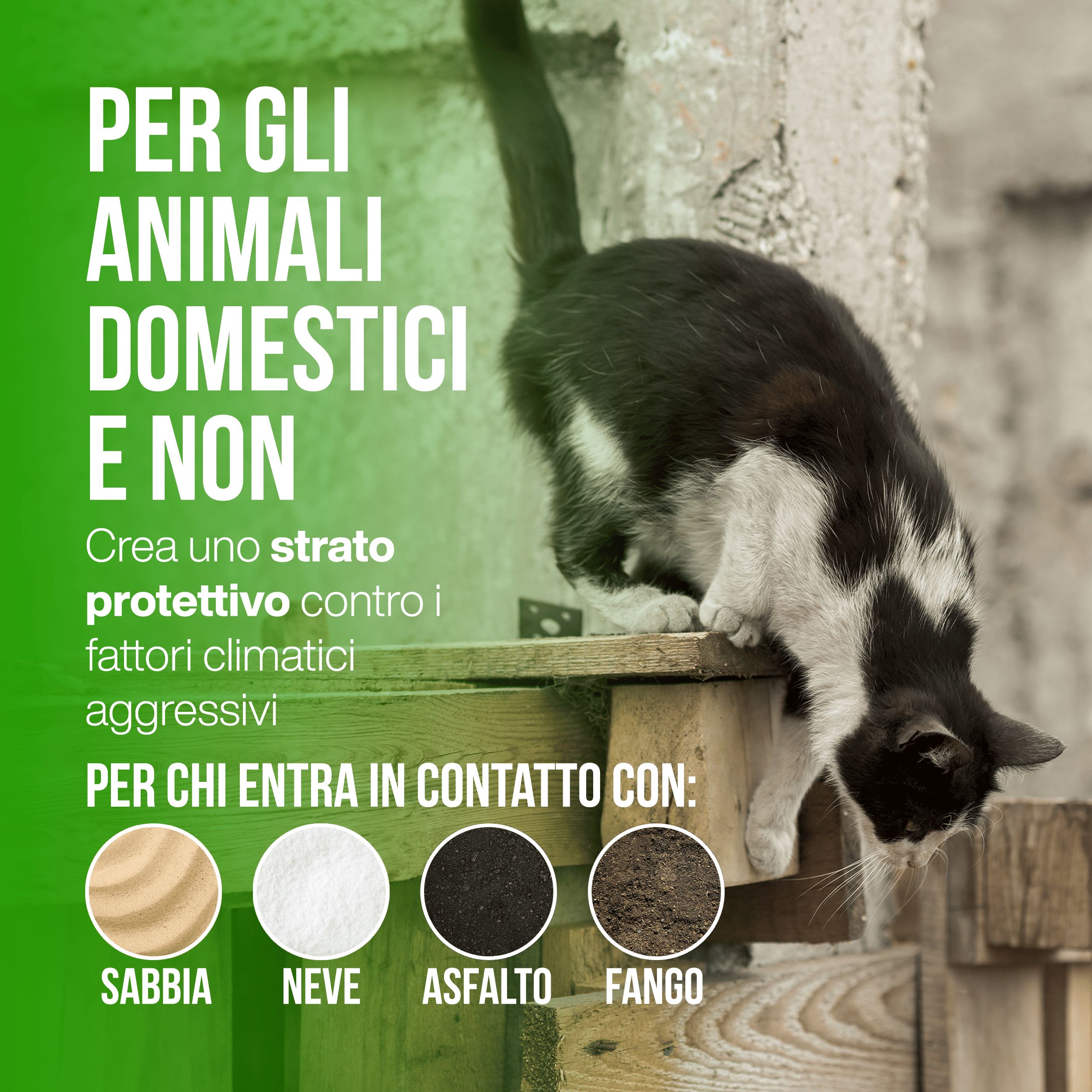 Gatto su una struttura in legno. Testo: PER GLI ANIMALI DOMESTICI E NON. Protegge dai fattori climatici.