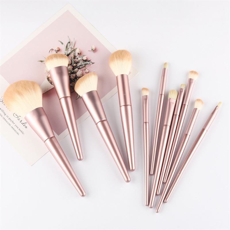 Set di pennelli per trucco. Manici rosa, setole chiare. Varie forme e dimensioni. Su sfondo bianco.