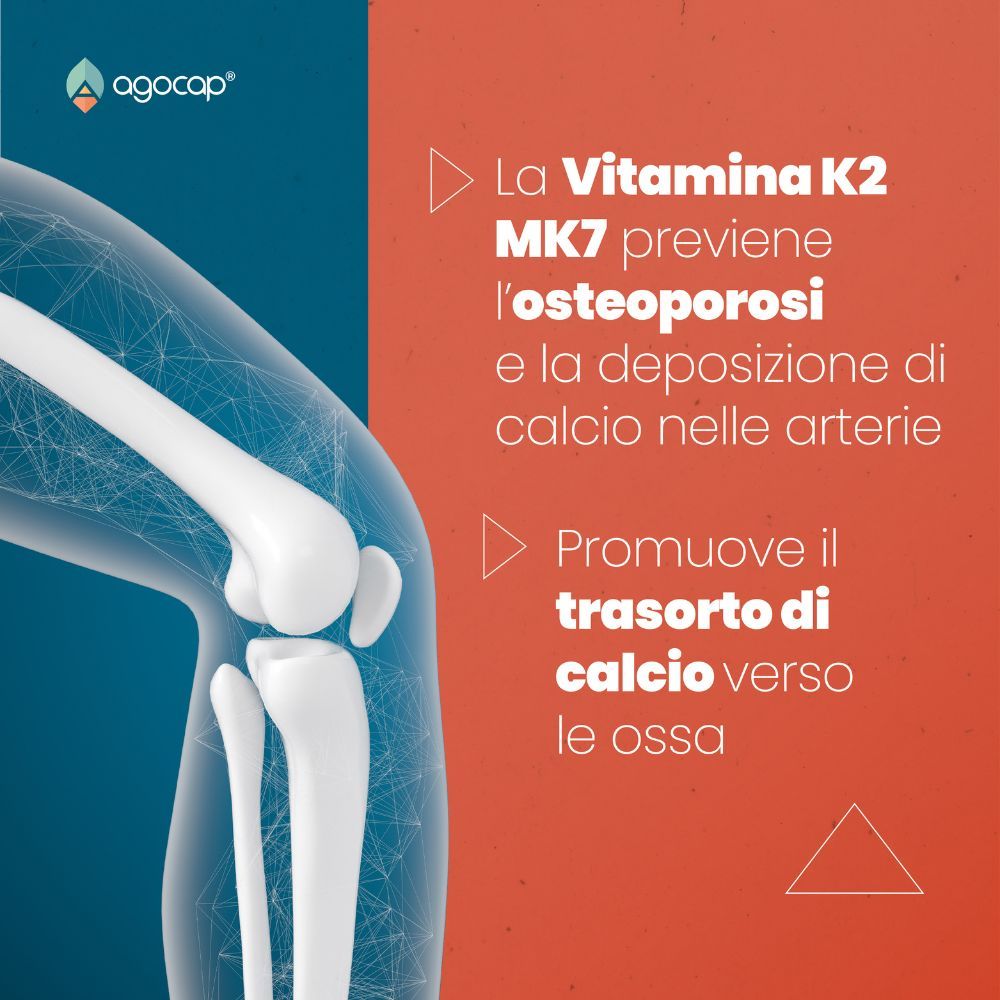 Ginocchio scheletrico. Testo: Vitamina K2 MK7 previene osteoporosi e deposito di calcio nelle arterie. Promuove trasporto calcio.