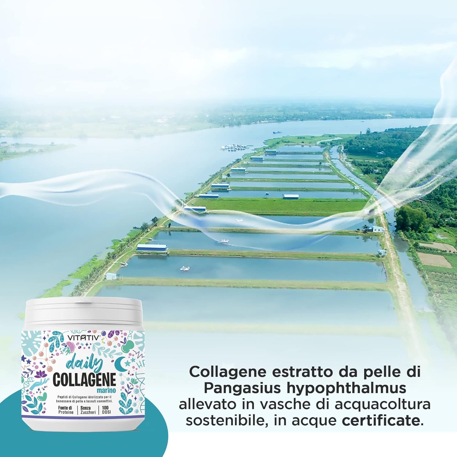 VITATIV® Daily Collagene Marino Idrolizzato in Polvere - 250 g
