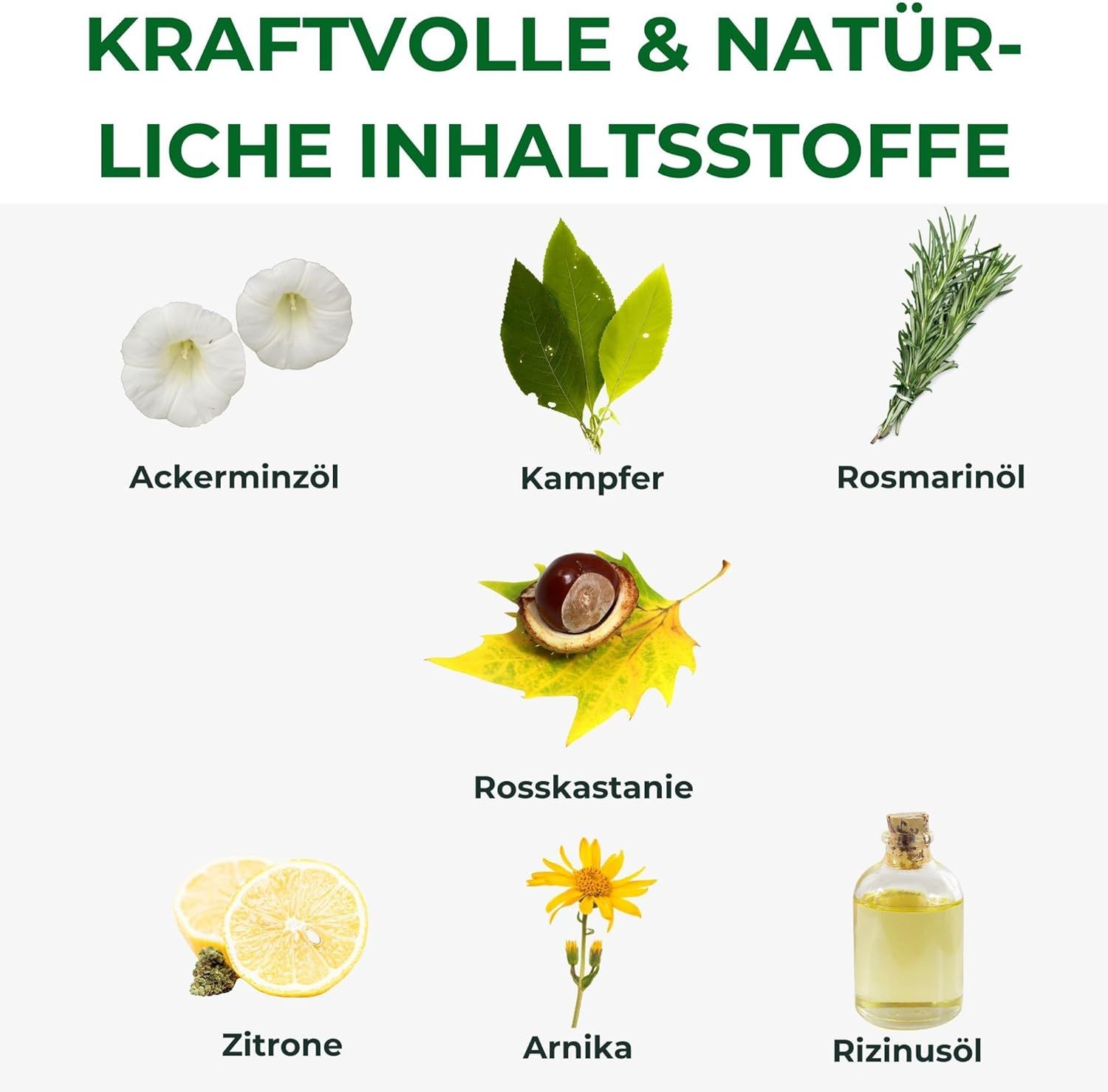 Varie piante e oli. Testo: Ingredienti potenti e naturali. Contiene: menta campestre, canfora, olio di rosmarino, ippocastano, limone, arnica, olio di ricino.