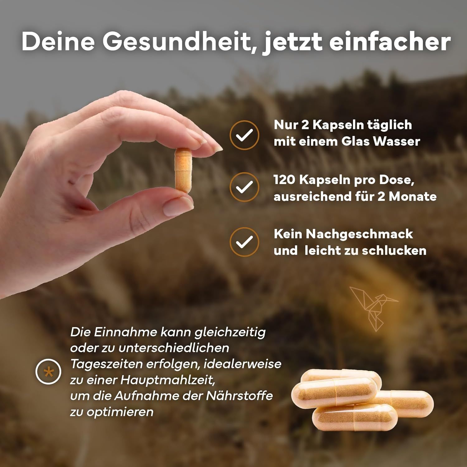 SEVENS NUTRITION Capsule di Ashwagandha