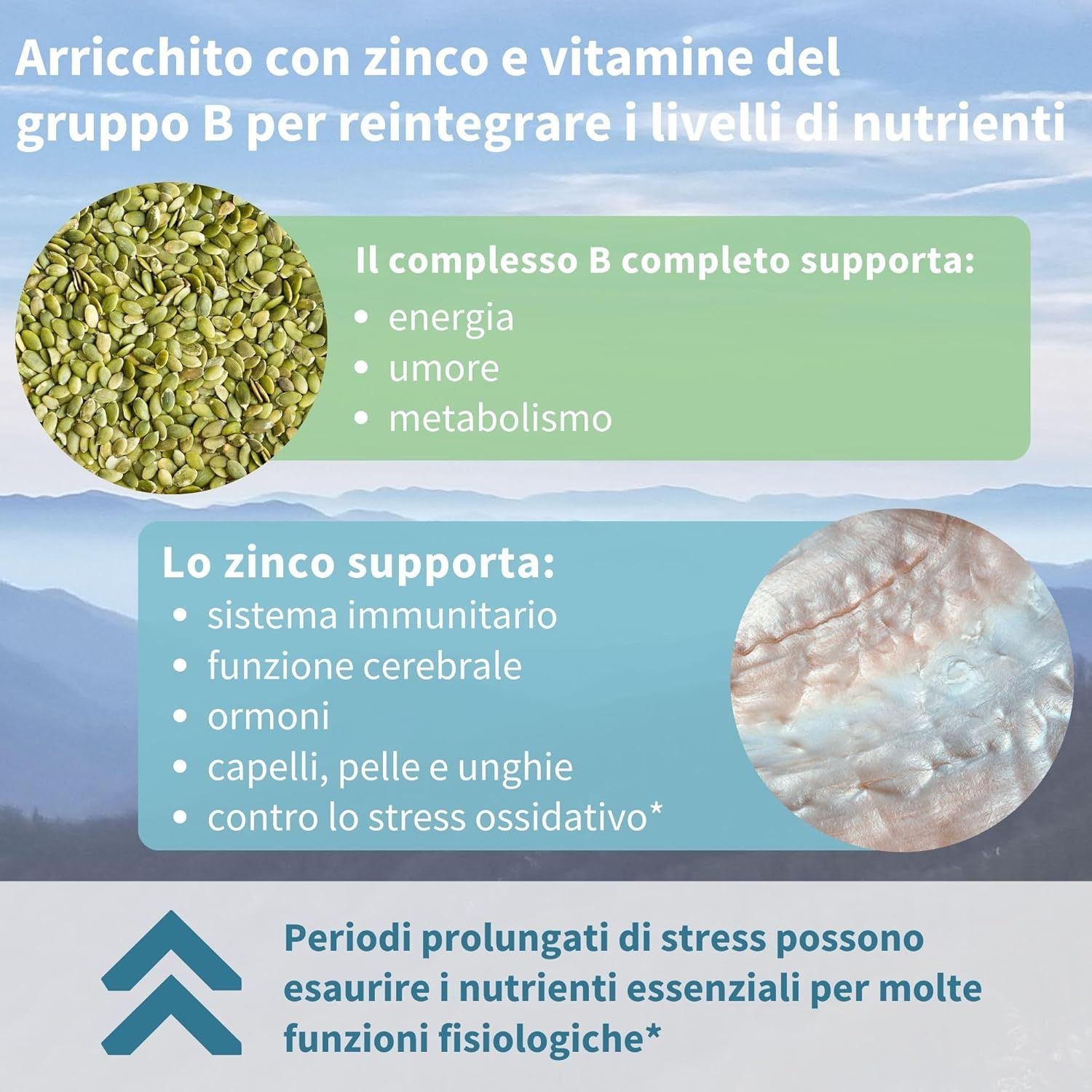 Grafico con ingredienti. Testo: Zinco e vitamine B. Verde: Energia, umore, metabolismo. Blu: Sistema immunitario, funzione cerebrale.