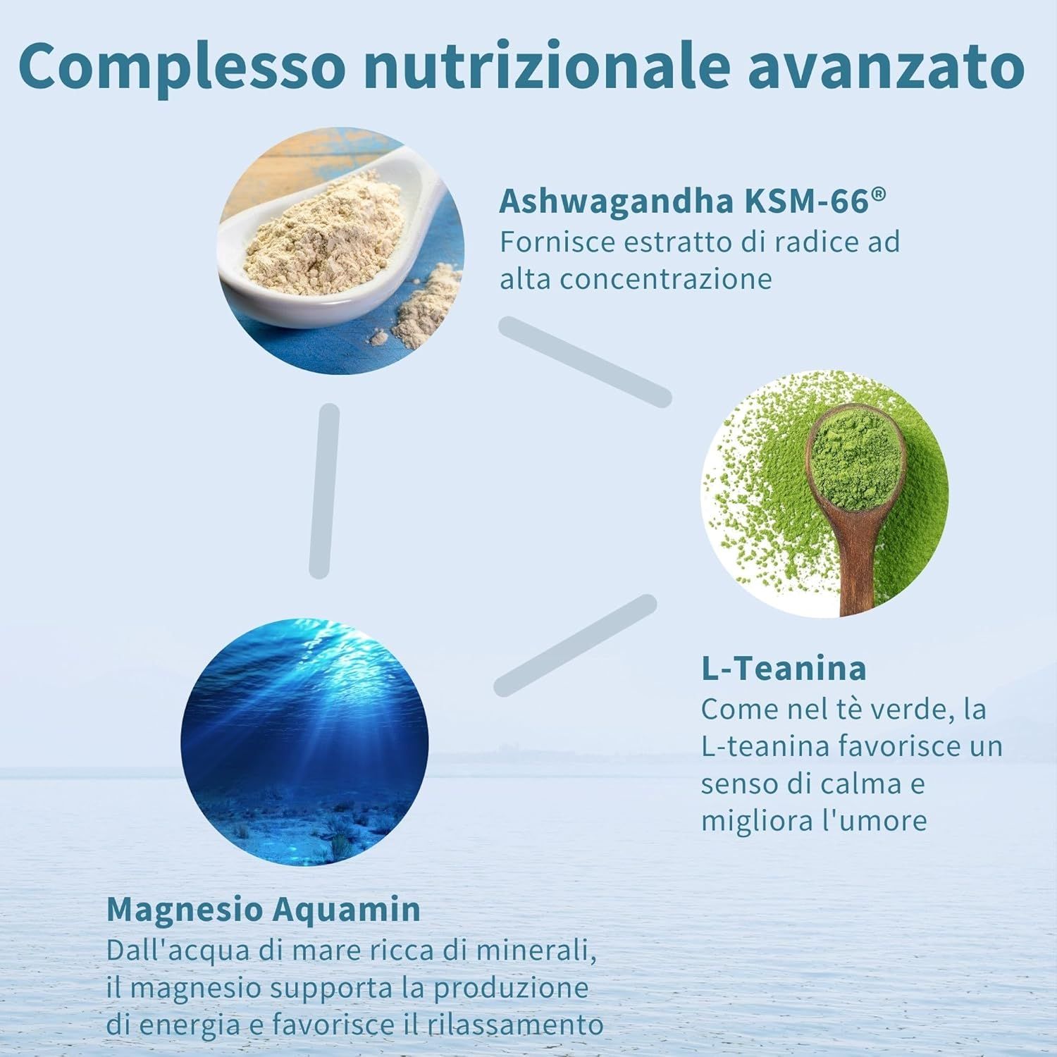 Grafico con Ashwagandha, L-Teanina e Magnesio. Testo: Ashwagandha KSM-66, L-Teanina, Magnesio Aquamin. Sfondo: acqua.