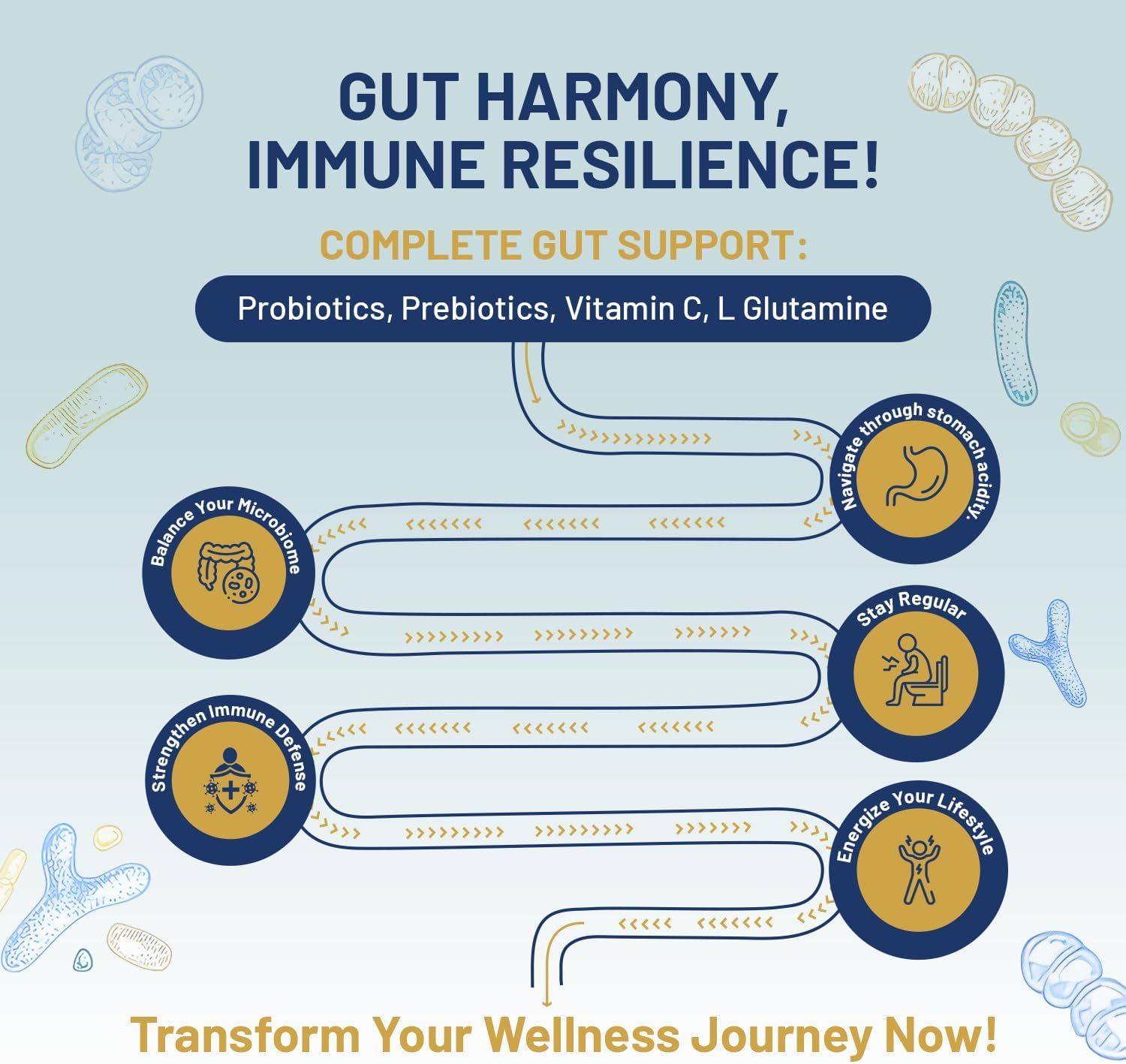 Rappresentazione grafica dei benefici dei probiotici. Testo: Probiotici, prebiotici, vitamina C, L-glutammina. Supporta l'equilibrio del microbioma, l'immunità.