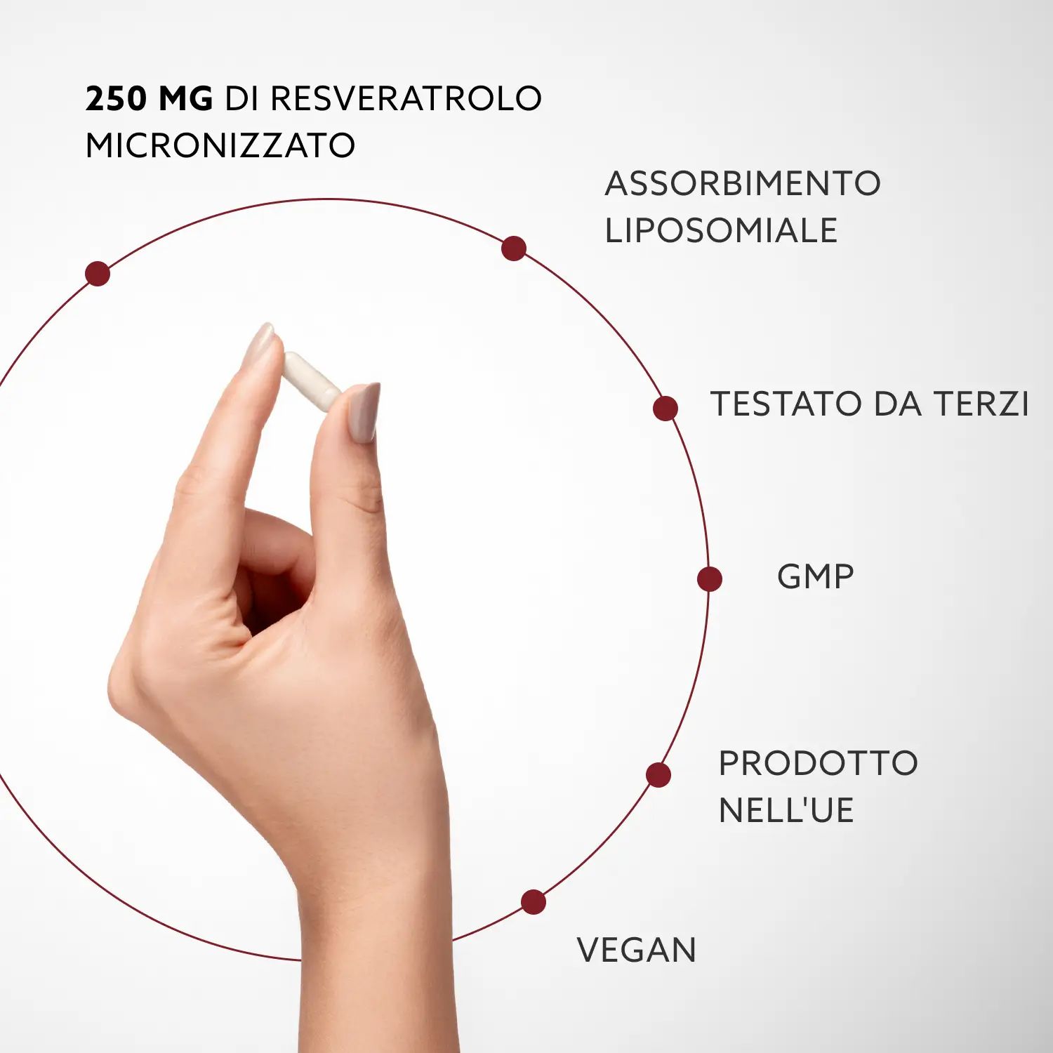 Mano che tiene una capsula. Testo: 250 mg di trans-resveratrolo micronizzato, assorbimento liposomiale, vegano.