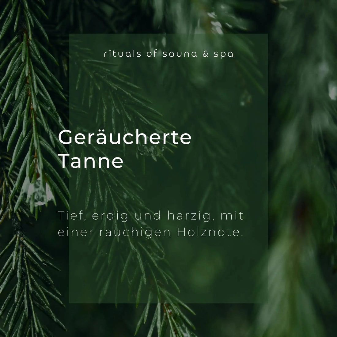 Testo su sfondo verde: Geräucherte Tanne. Profondo, terroso e resinoso, con una nota legnosa affumicata. Sfondo: rami di abete.