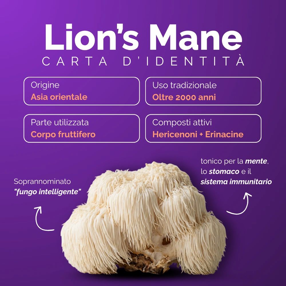 Oravita LION'S MANE Lion's Mane Estratto Titolato 30% per Memoria, Concentrazione e NGF