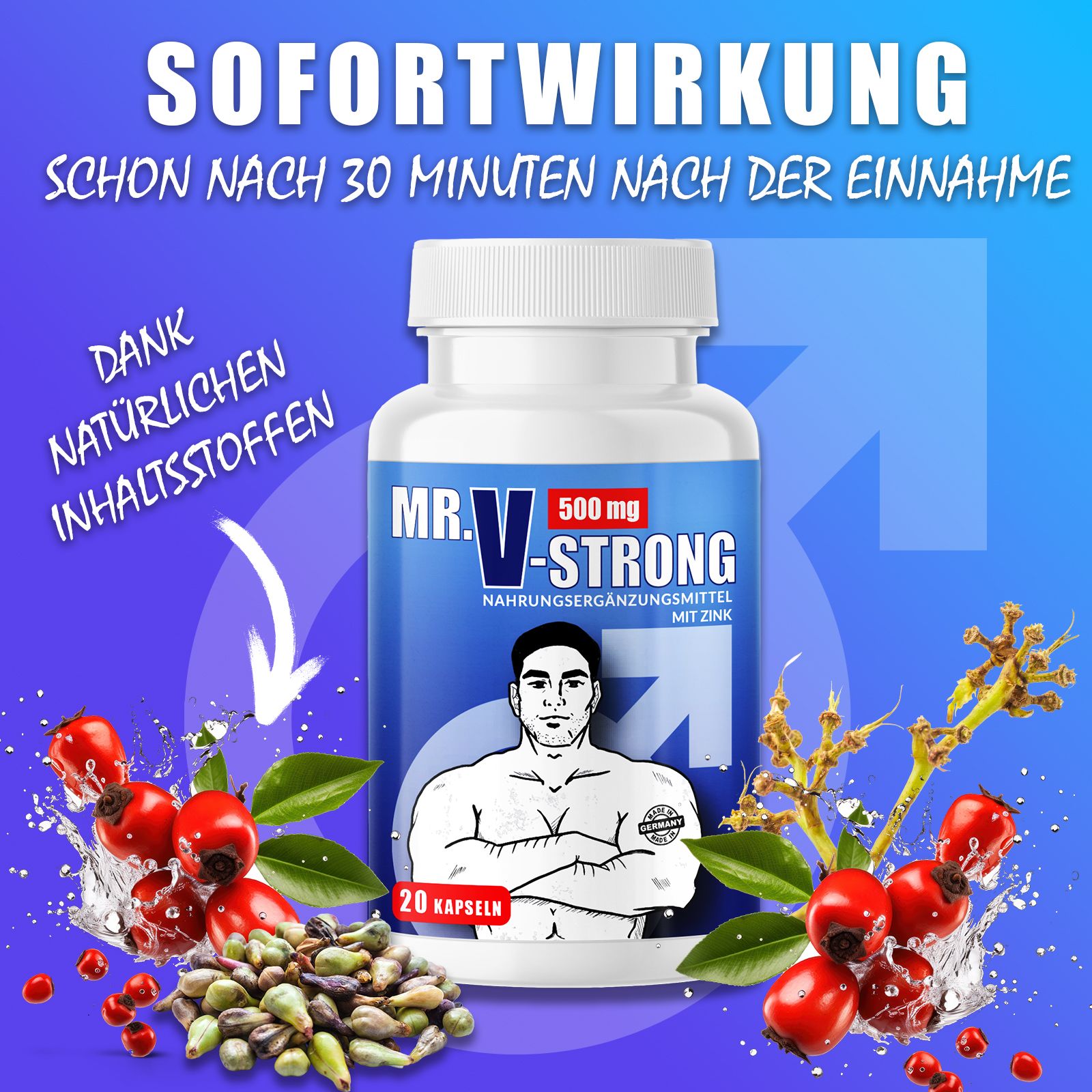 Flacone di pillole con scritta blu. Scritta: MR. V-STRONG, 500 mg, 20 capsule. Decorato con rosa canina e rami.