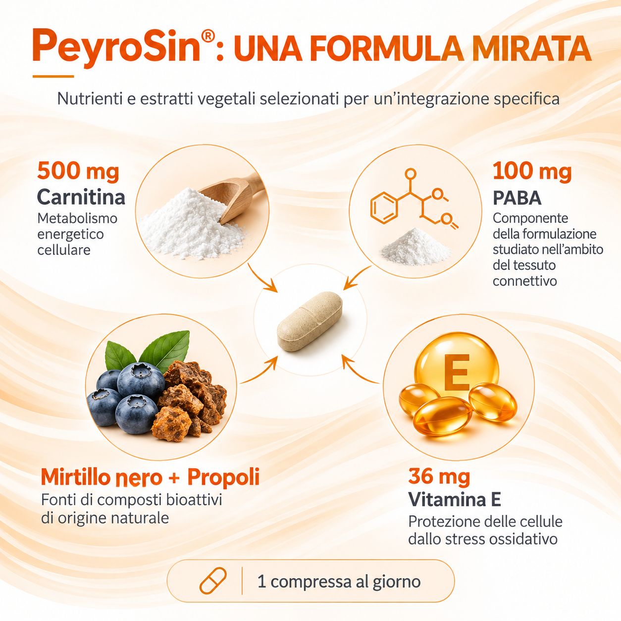 Grafica con ingredienti e dosaggio di un integratore alimentare.