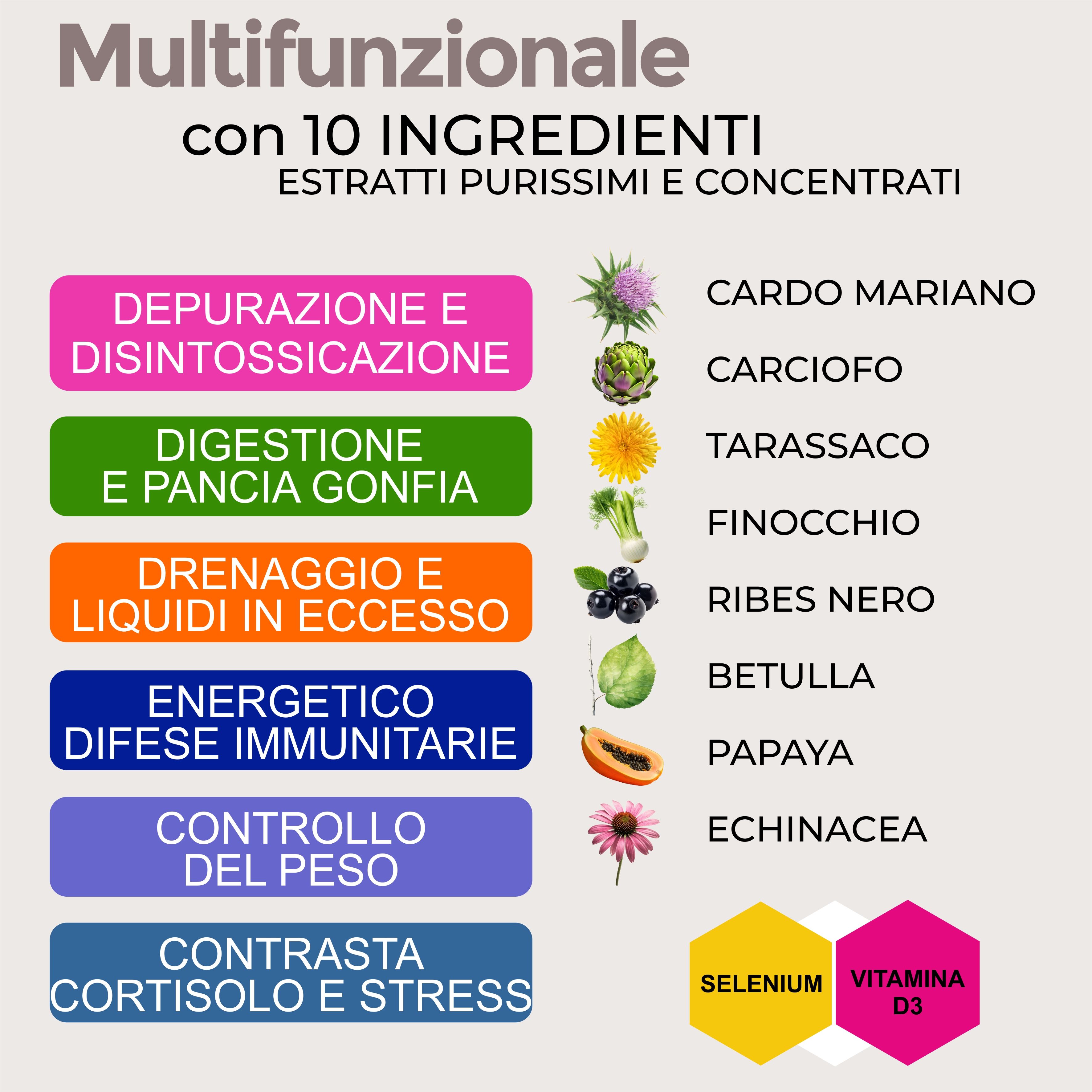 Infografica con 10 ingredienti. Testo: Depurazione e Disintossicazione, Cardo Mariano, Carciofo, Tarassaco, etc.