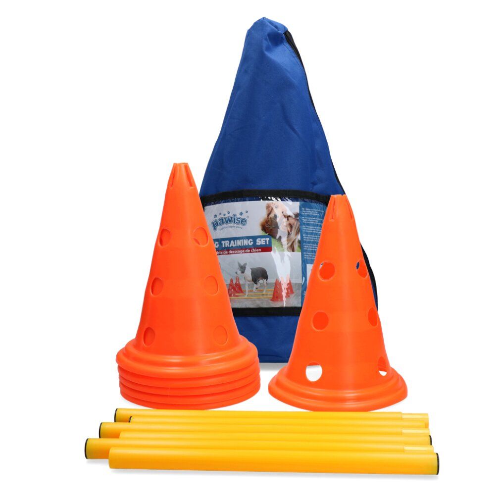 Set di ostacoli per cani. Coni arancioni, barre gialle, sacca blu con logo. Sfondo bianco.