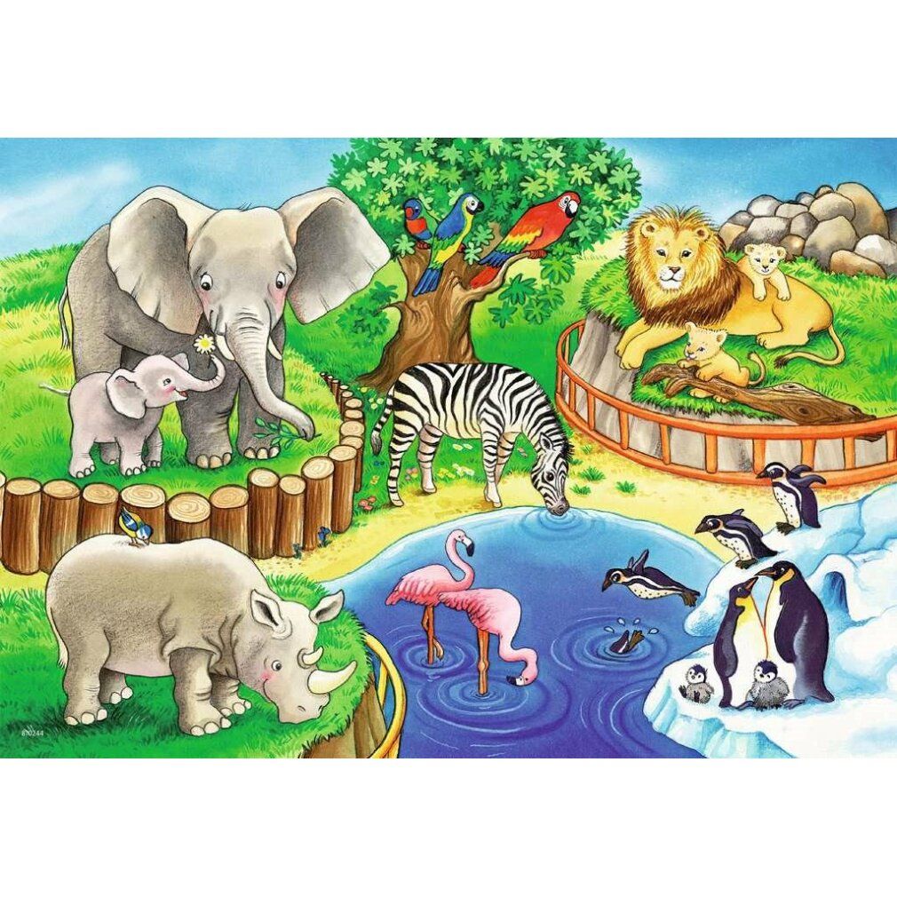 Puzzle con motivo zoo. Animali: elefanti, leoni, zebre, pinguini, fenicotteri. Marca: Ravensburger. 2x12 pezzi.