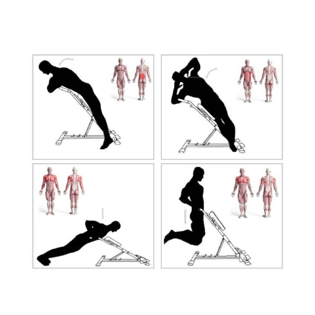 Illustrazioni di esercizi su una panca fitness. Sagome di persone in varie posizioni. Rappresentazioni anatomiche.