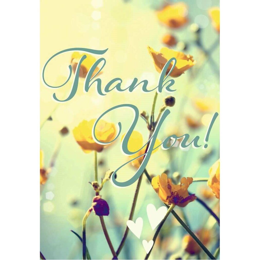 Fiori gialli con scritta "Thank You!". Cuori bianchi. Sfondo sfocato.