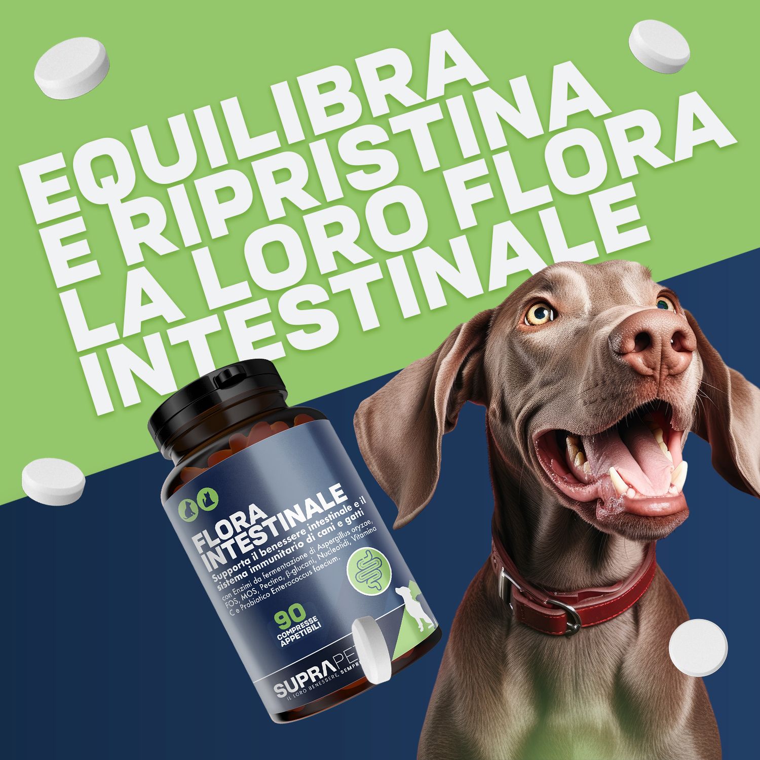 Flacone da 90 compresse masticabili per cani, marca SUPRAPET, con cane e simbolo intestinale.