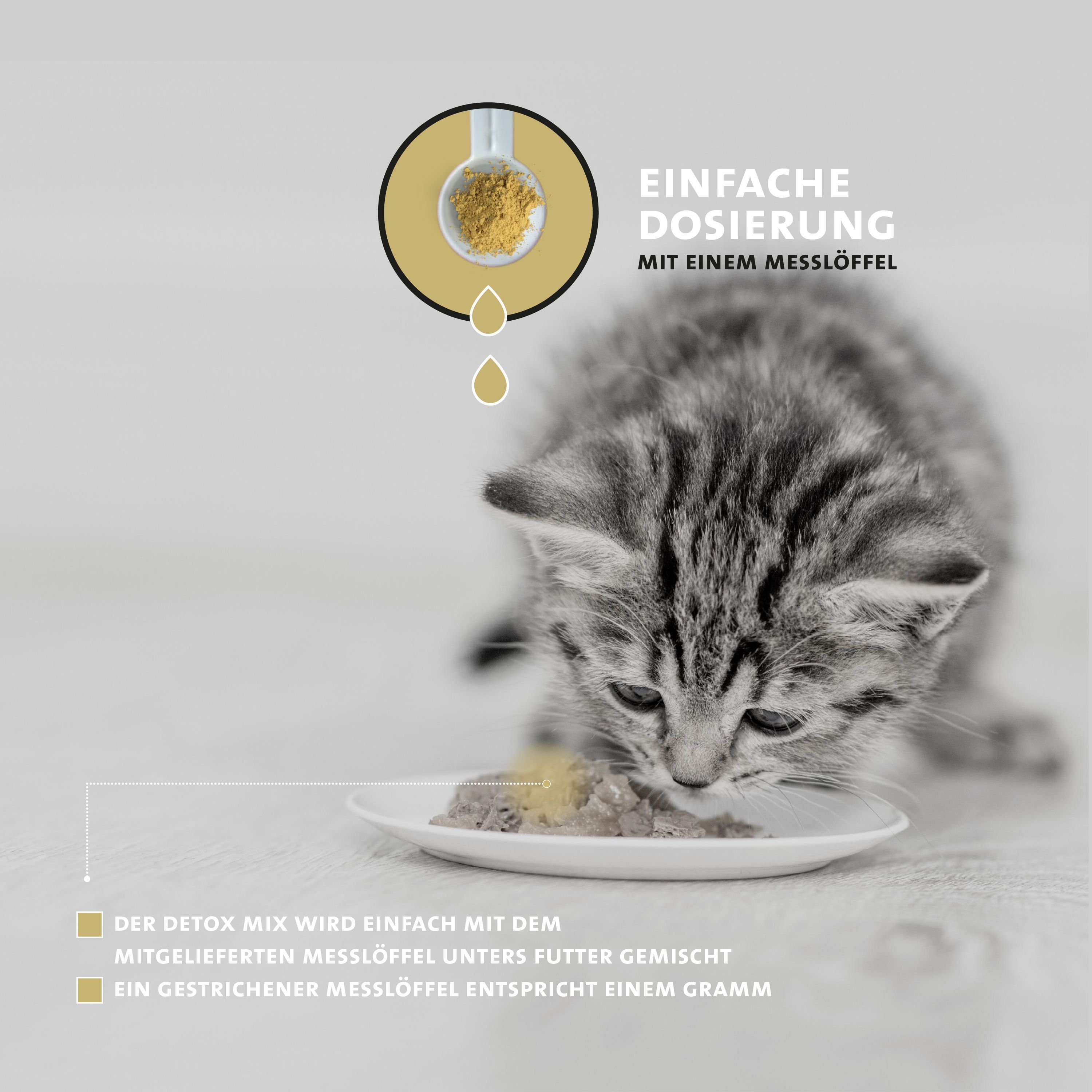 Gattino mangia cibo con Peticare Detox-Mix. Dosaggio semplice con misurino.