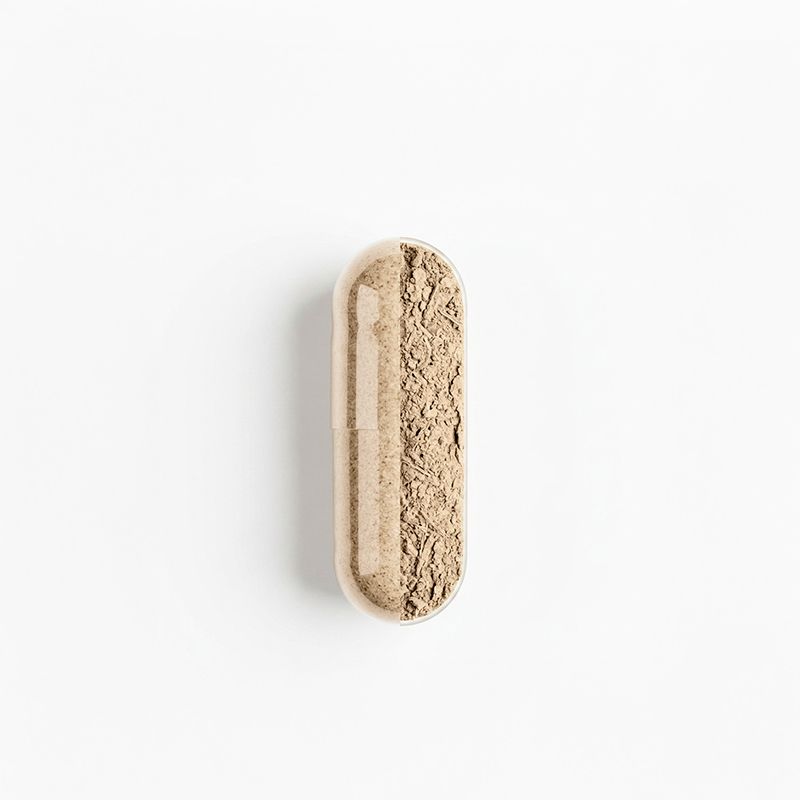 Una singola capsula riempita di polvere beige.