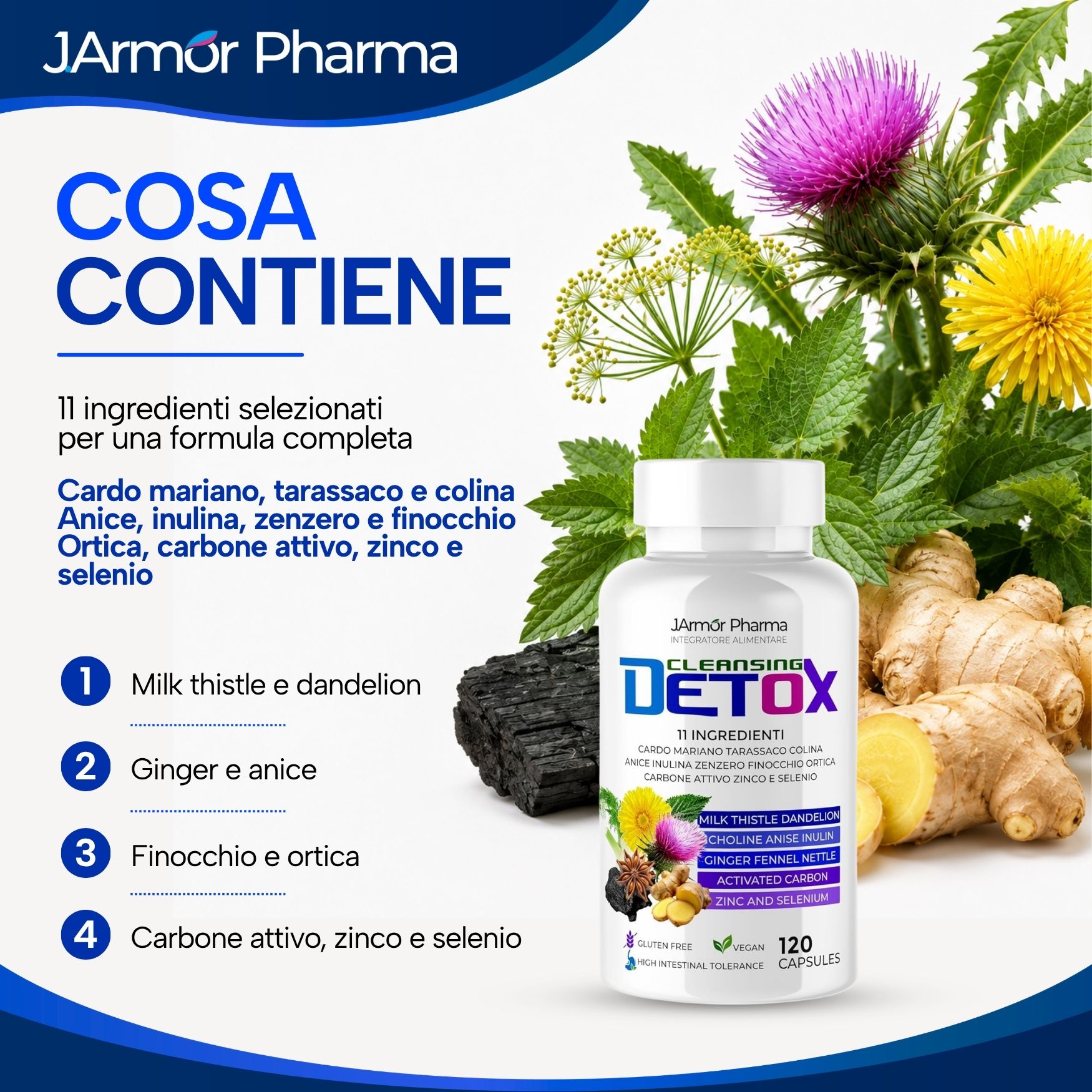 Bottiglia da 120 capsule circondata da zenzero, erbe e carbone attivo.