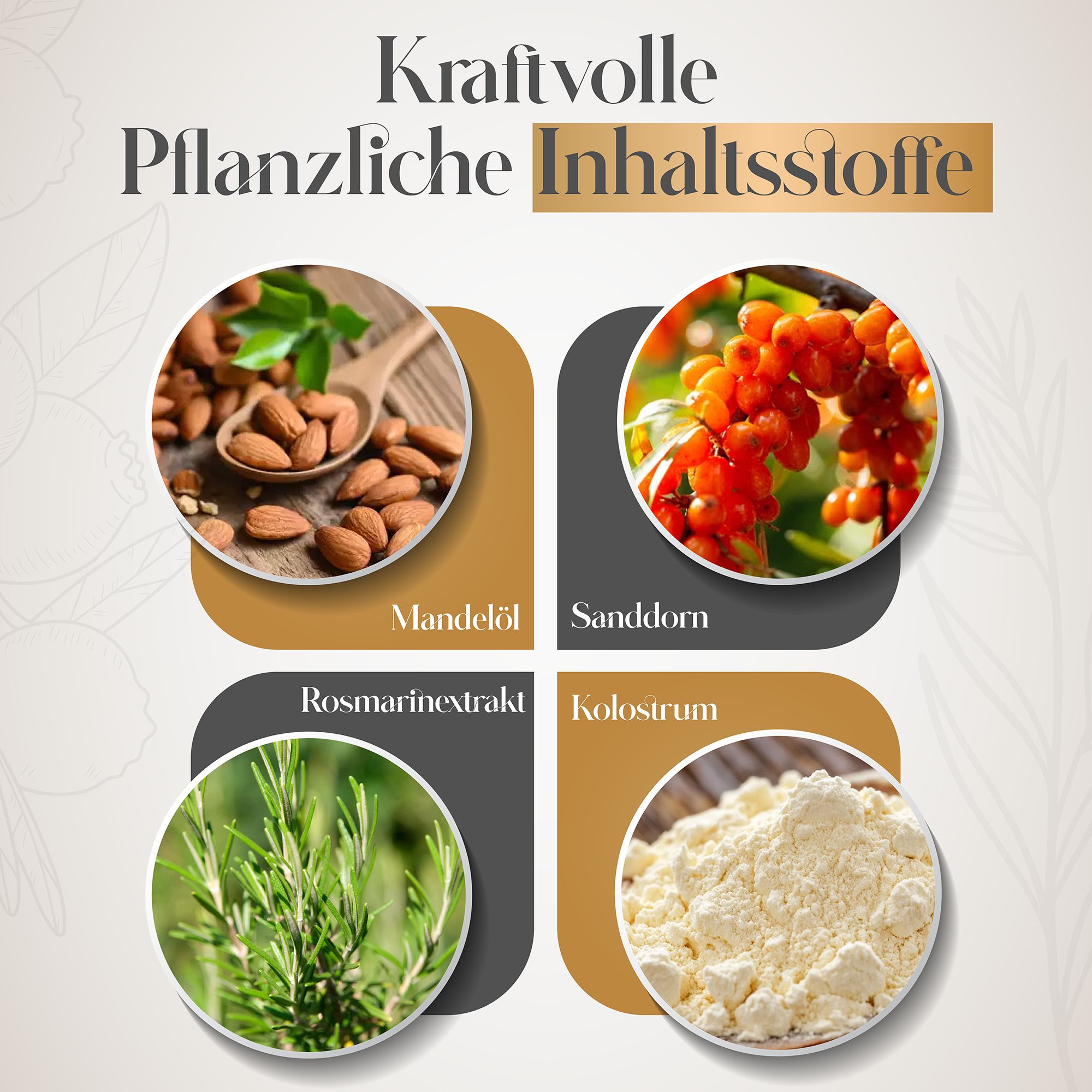 Quattro immagini: Olio di mandorle, Olivello spinoso, Estratto di rosmarino, Colostro. Testo: Potenti ingredienti vegetali.