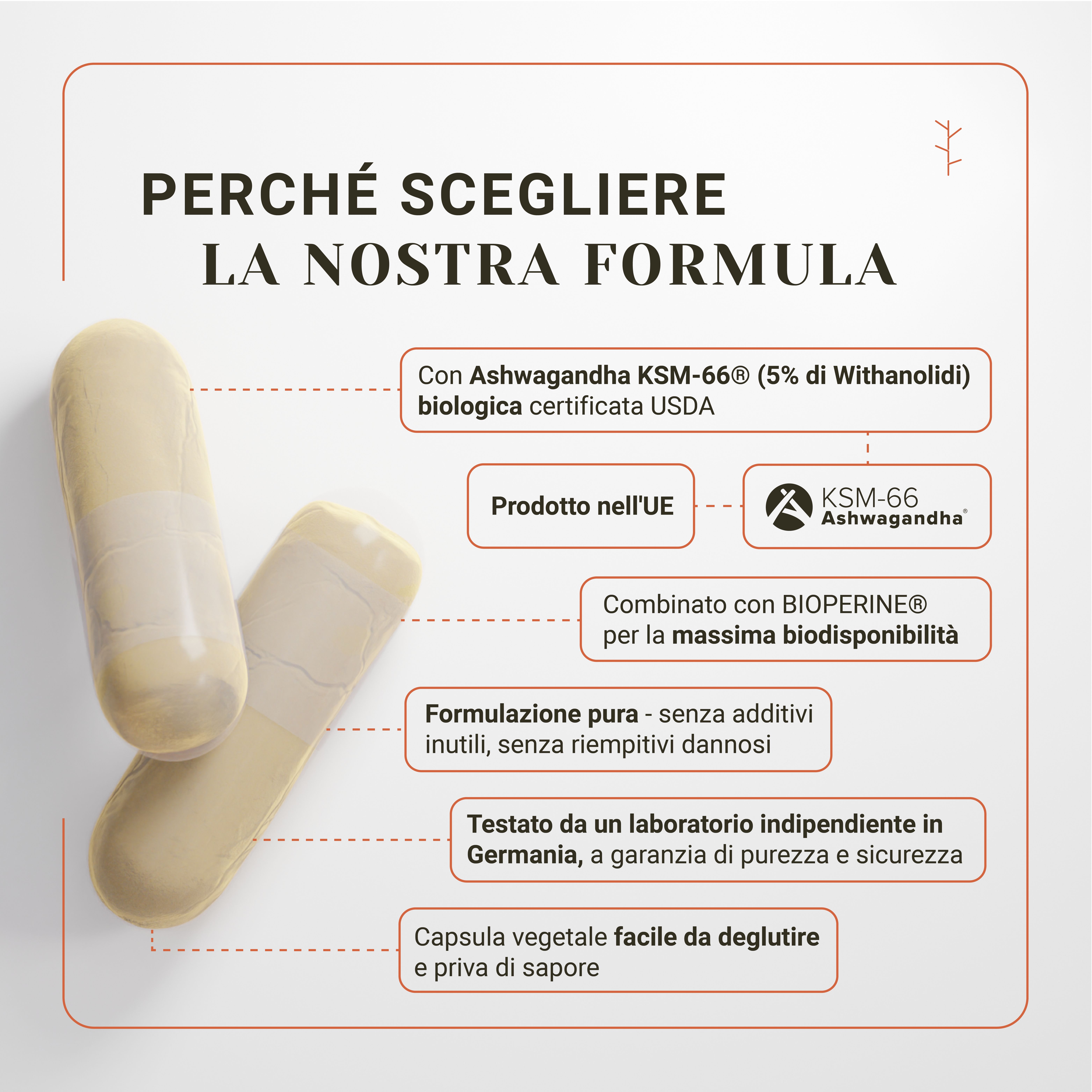 Due capsule. Testo: Perché scegliere la nostra formula. Ashwagandha KSM-66 certificato USDA. Con Bioperine. Senza additivi. Prodotto in UE.