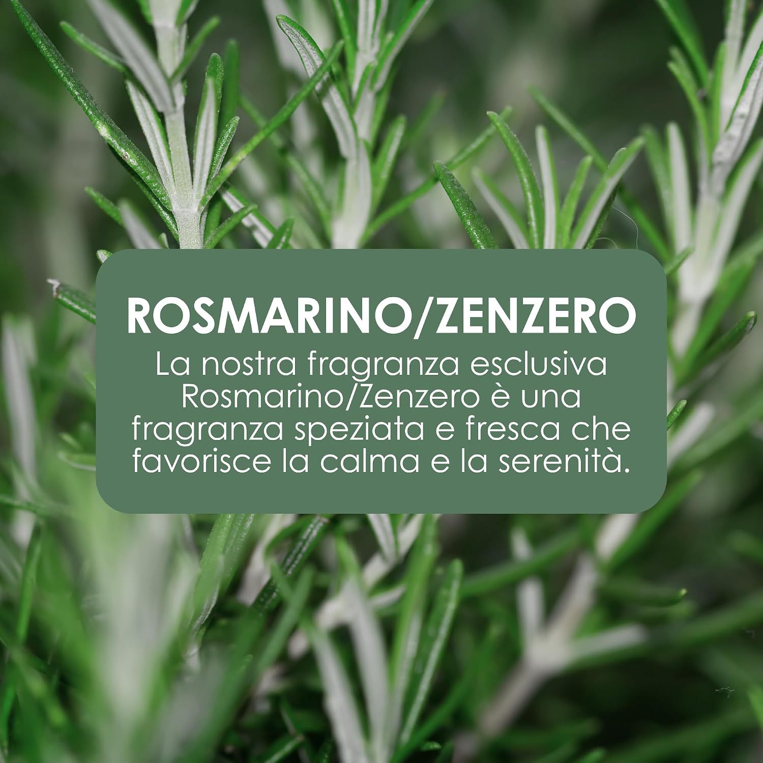 Crema mani Jean & Len: "La tua nuova fragranza preferita, fresca e leggermente speziata."
