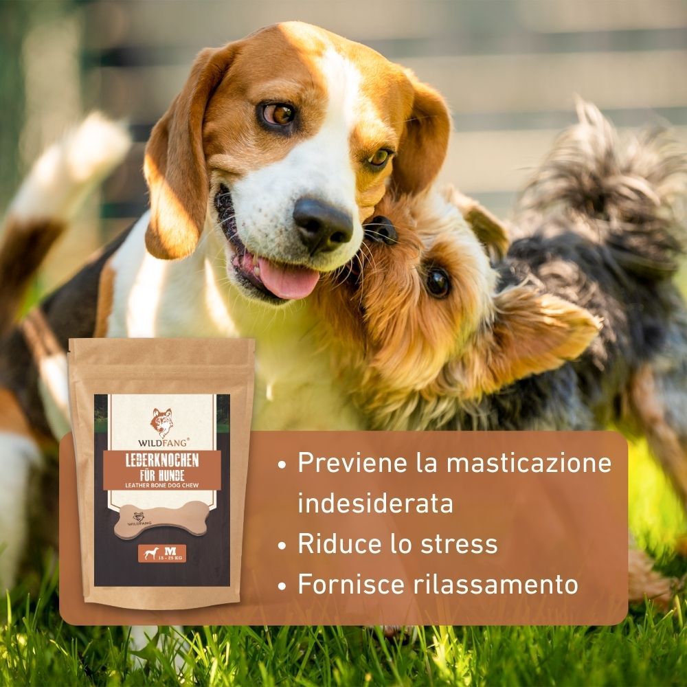Cani con confezione e osso di pelle. Confezione: WILDFANG, osso di pelle per cani. Testo: Previene la masticazione indesiderata.
