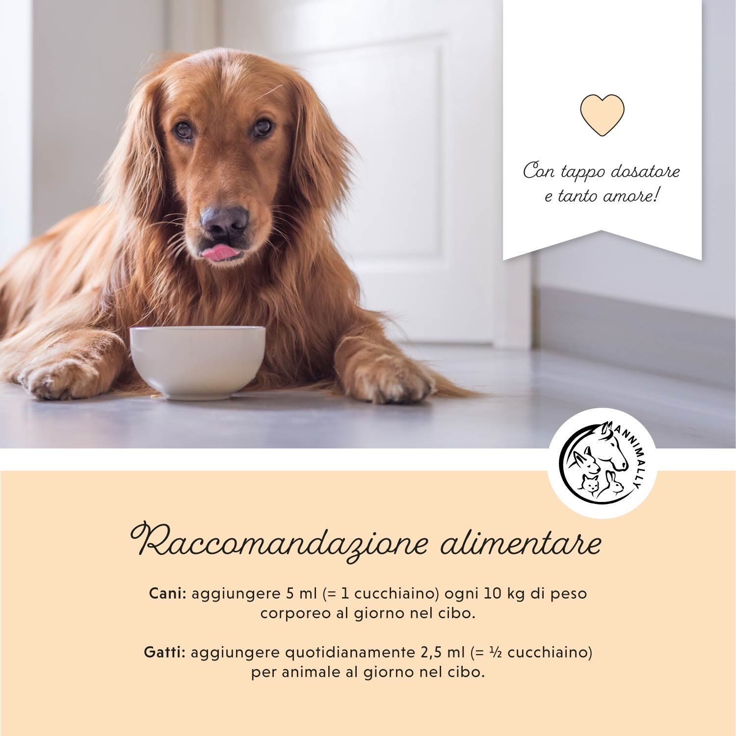 Golden Retriever con ciotola. Testo: Raccomandazioni alimentari per cani e gatti.
