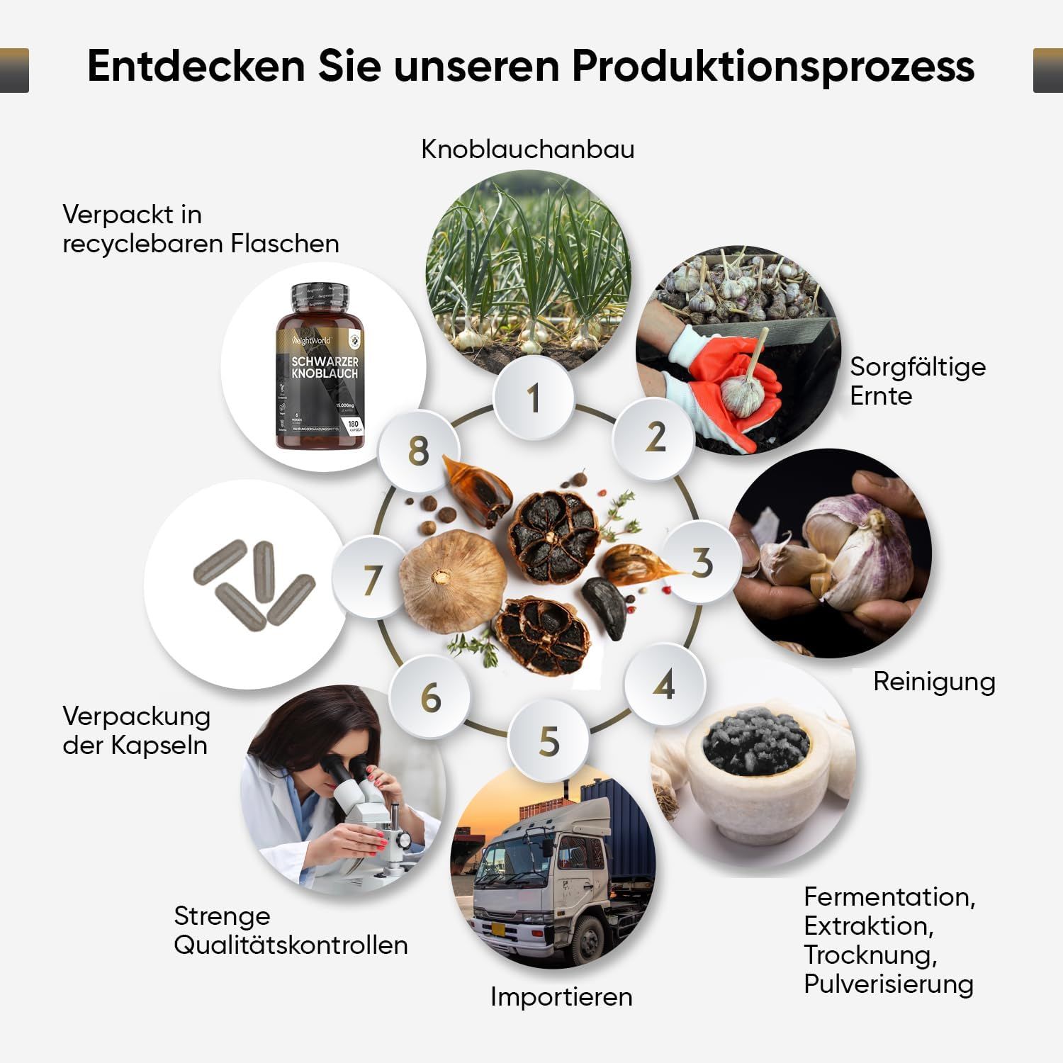 Infografica del processo di produzione dell'aglio nero. Fasi: coltivazione, raccolta, pulizia, fermentazione, confezionamento.
