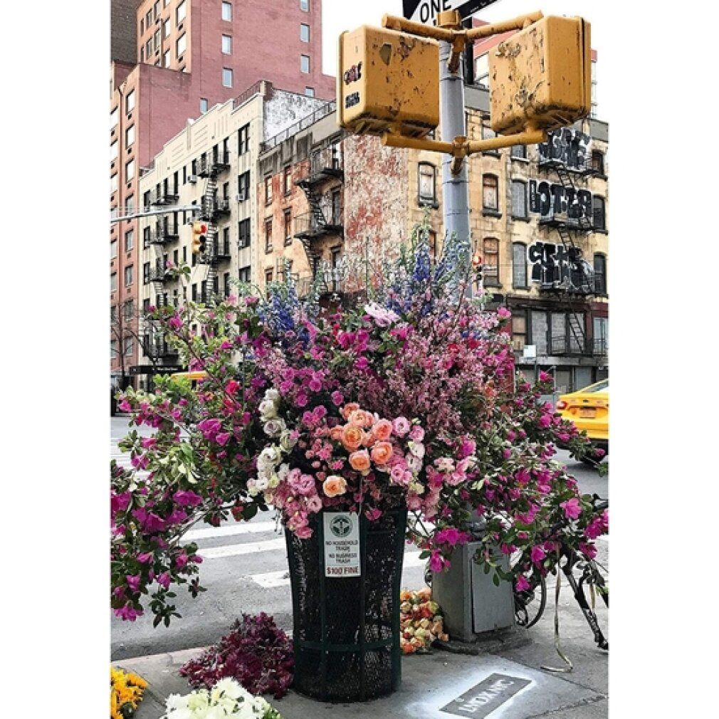 Scena di strada con composizione floreale in un cestino. Edifici sullo sfondo. Semforo e bicicletta.